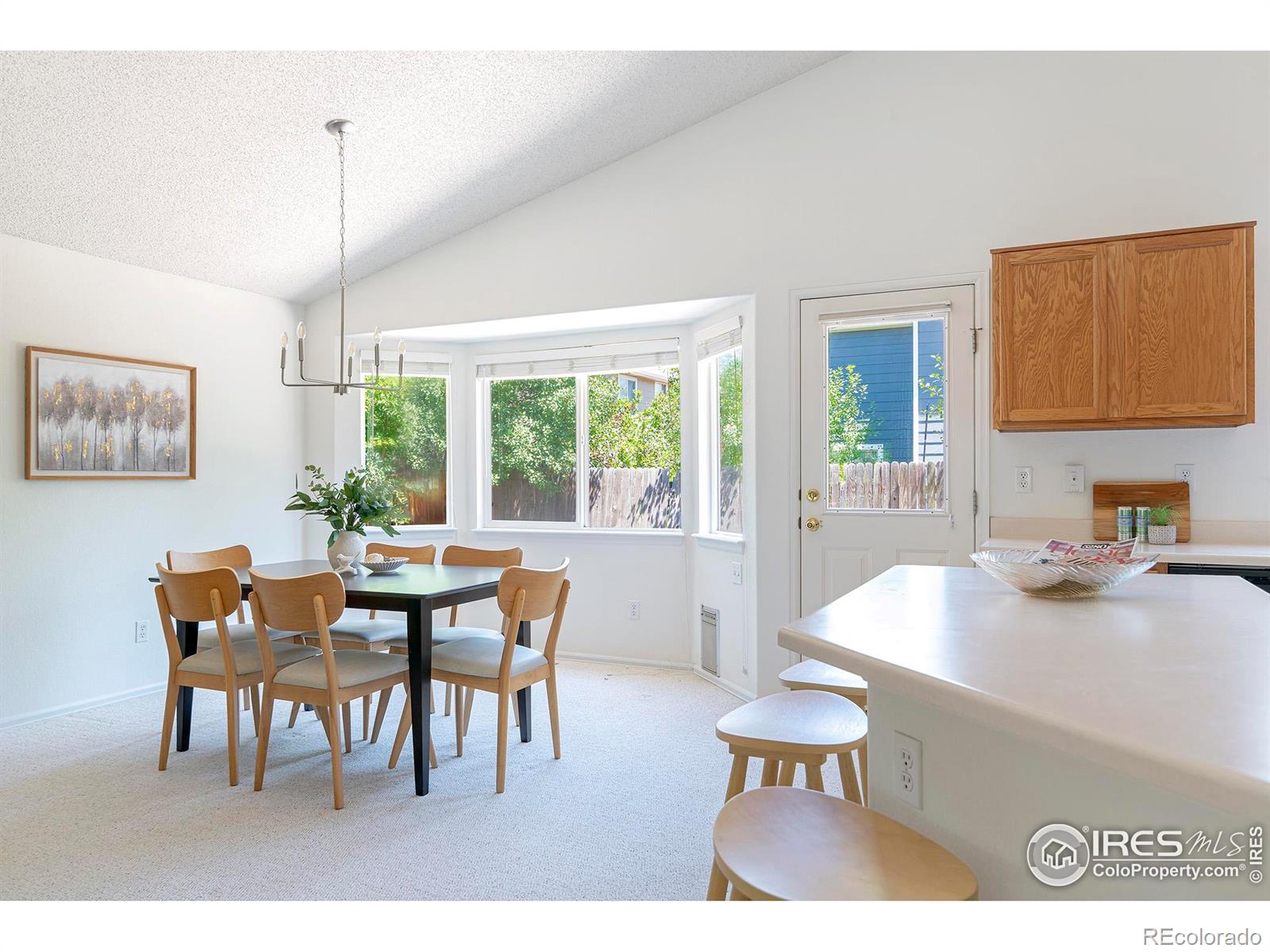 MLS Image #19 for 1309  banner circle,erie, Colorado