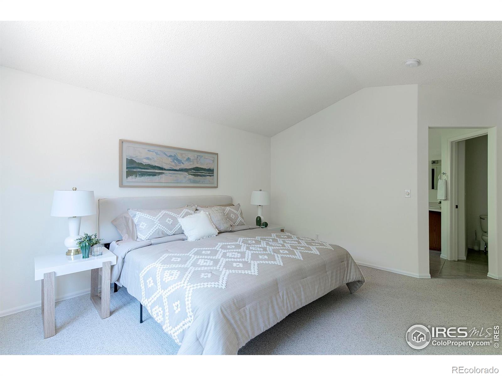 MLS Image #26 for 1309  banner circle,erie, Colorado