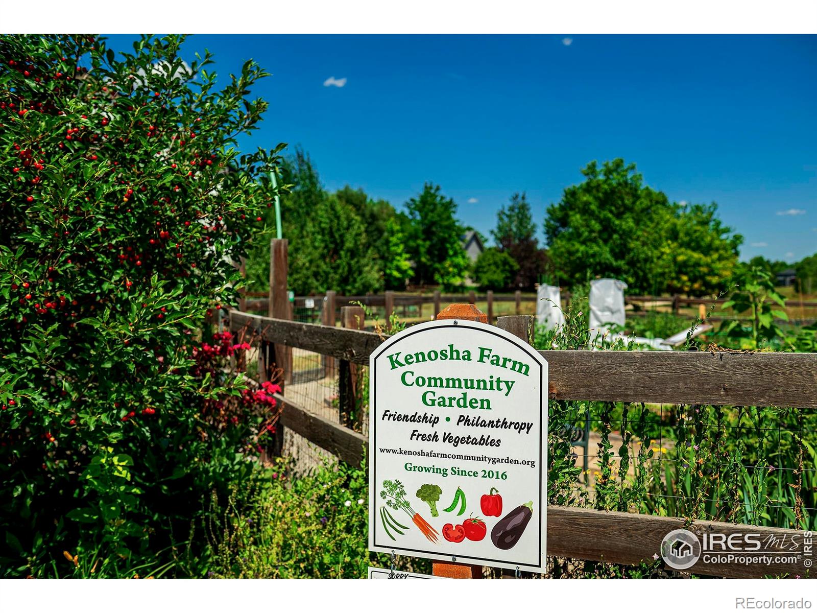 MLS Image #38 for 1309  banner circle,erie, Colorado