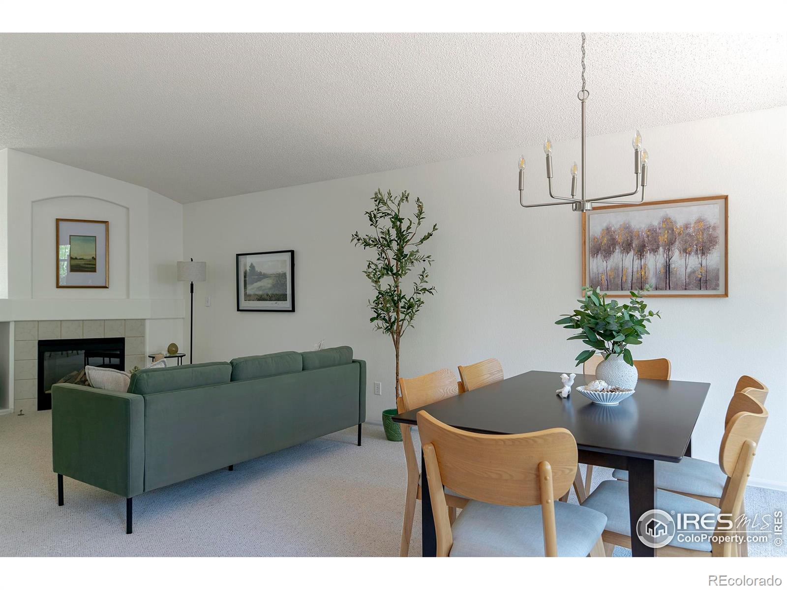 MLS Image #6 for 1309  banner circle,erie, Colorado