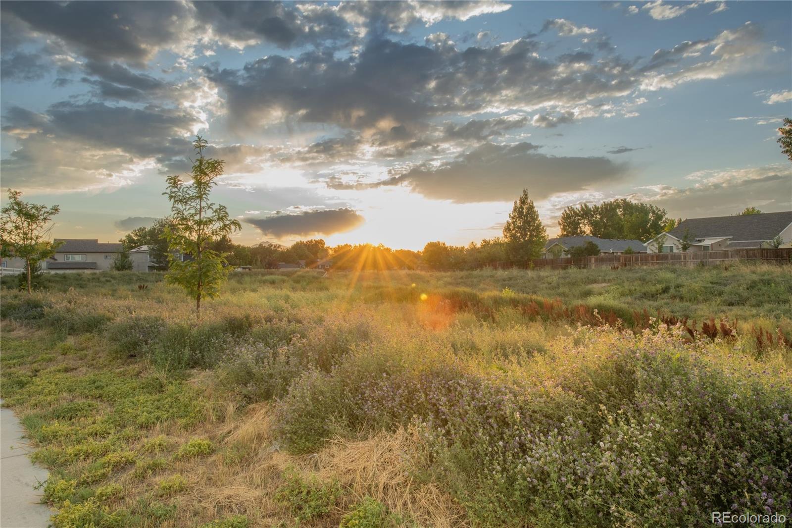 MLS Image #2 for 7430  fraser circle,frederick, Colorado