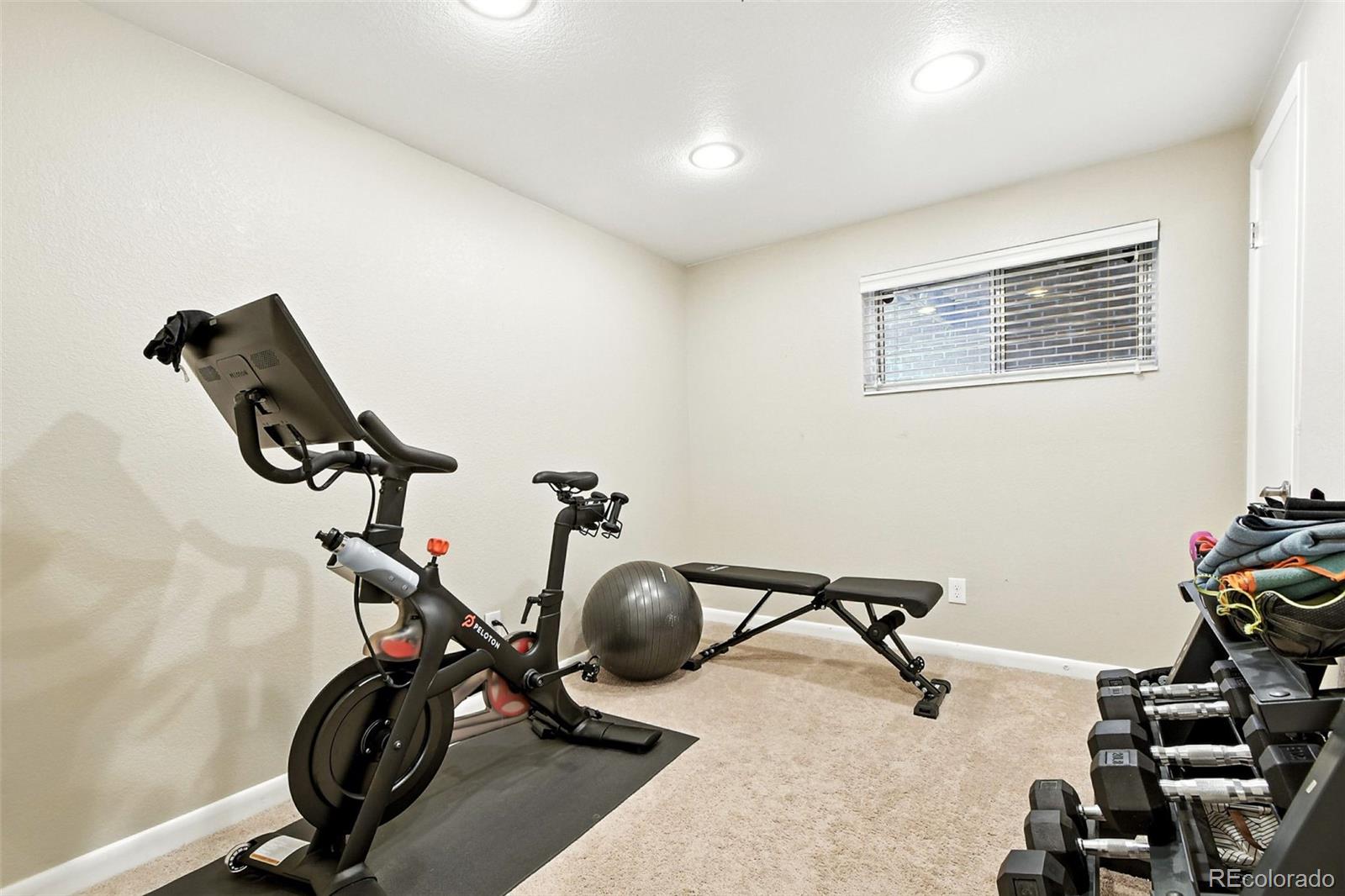 MLS Image #34 for 923 s beech street,lakewood, Colorado