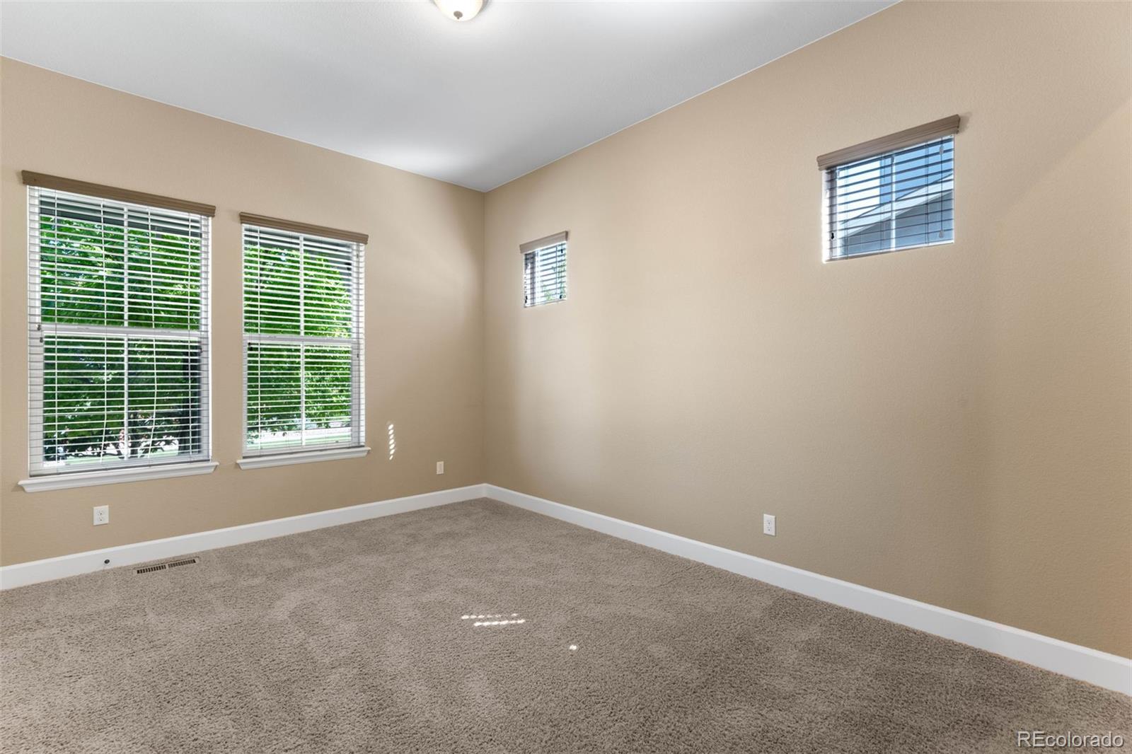 MLS Image #20 for 10122  des moines street,parker, Colorado