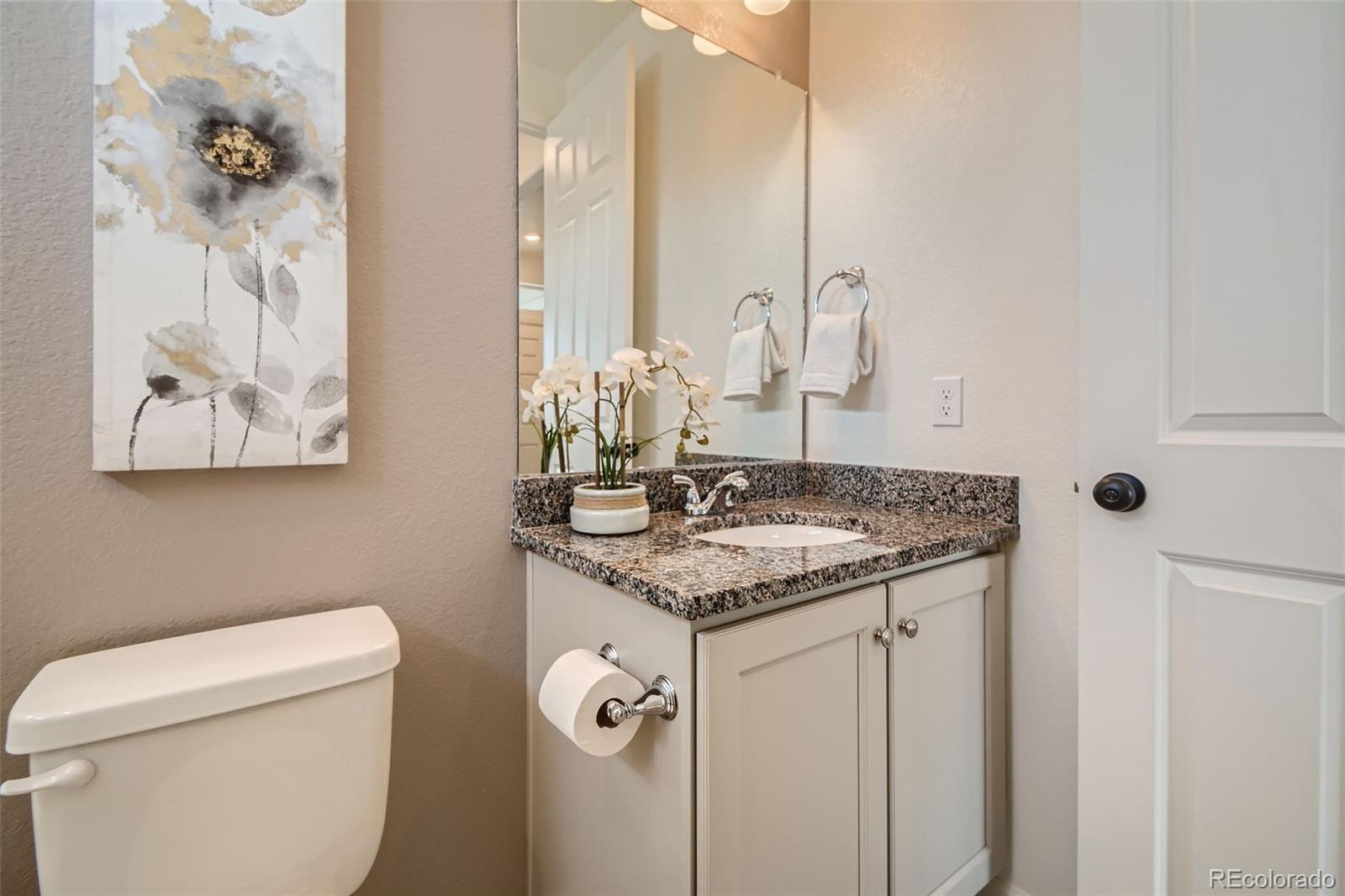 MLS Image #18 for 4403  picadilly court,aurora, Colorado