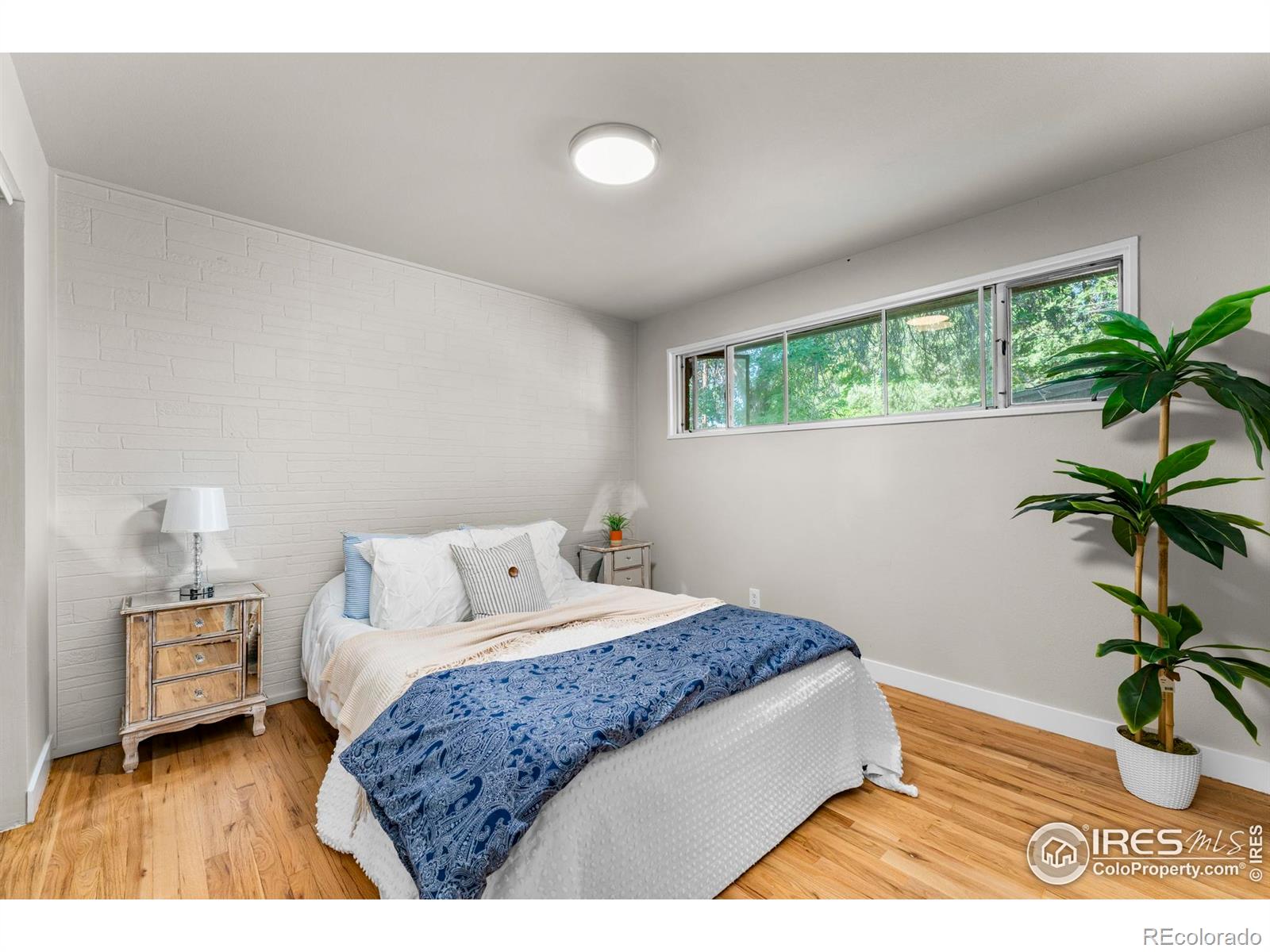 MLS Image #11 for 1744  corey street,longmont, Colorado