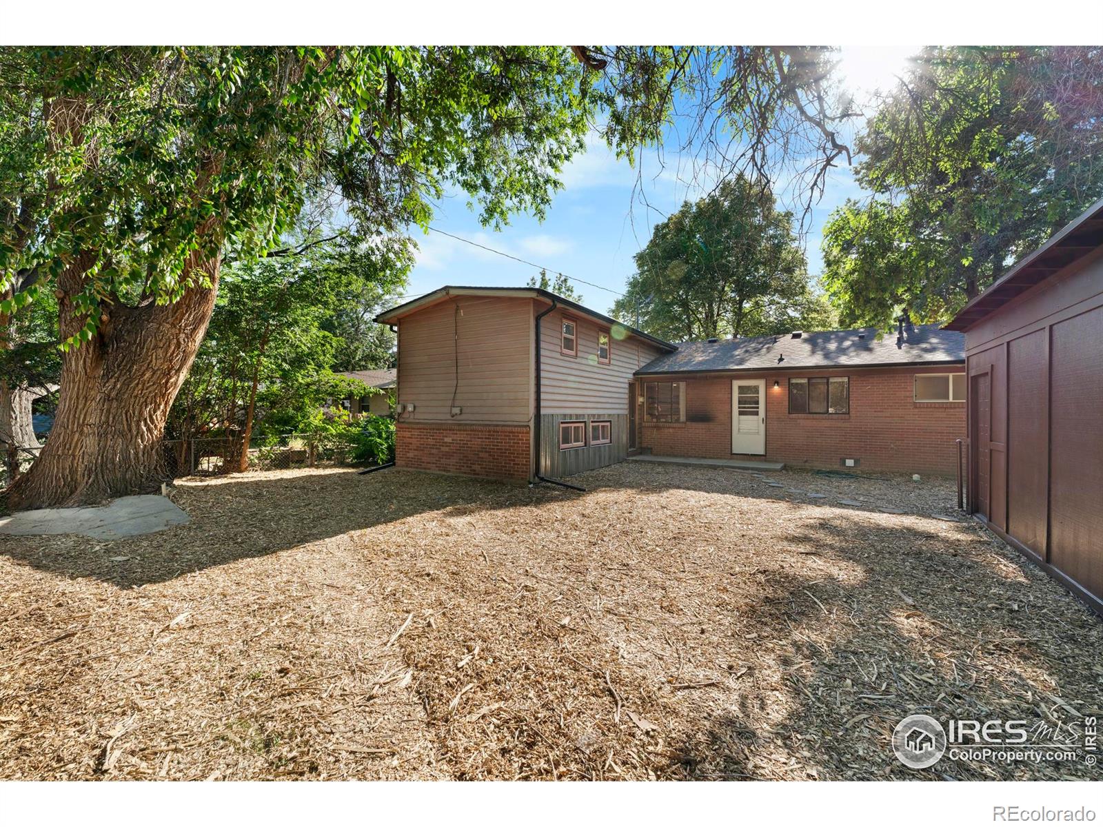 MLS Image #19 for 1744  corey street,longmont, Colorado