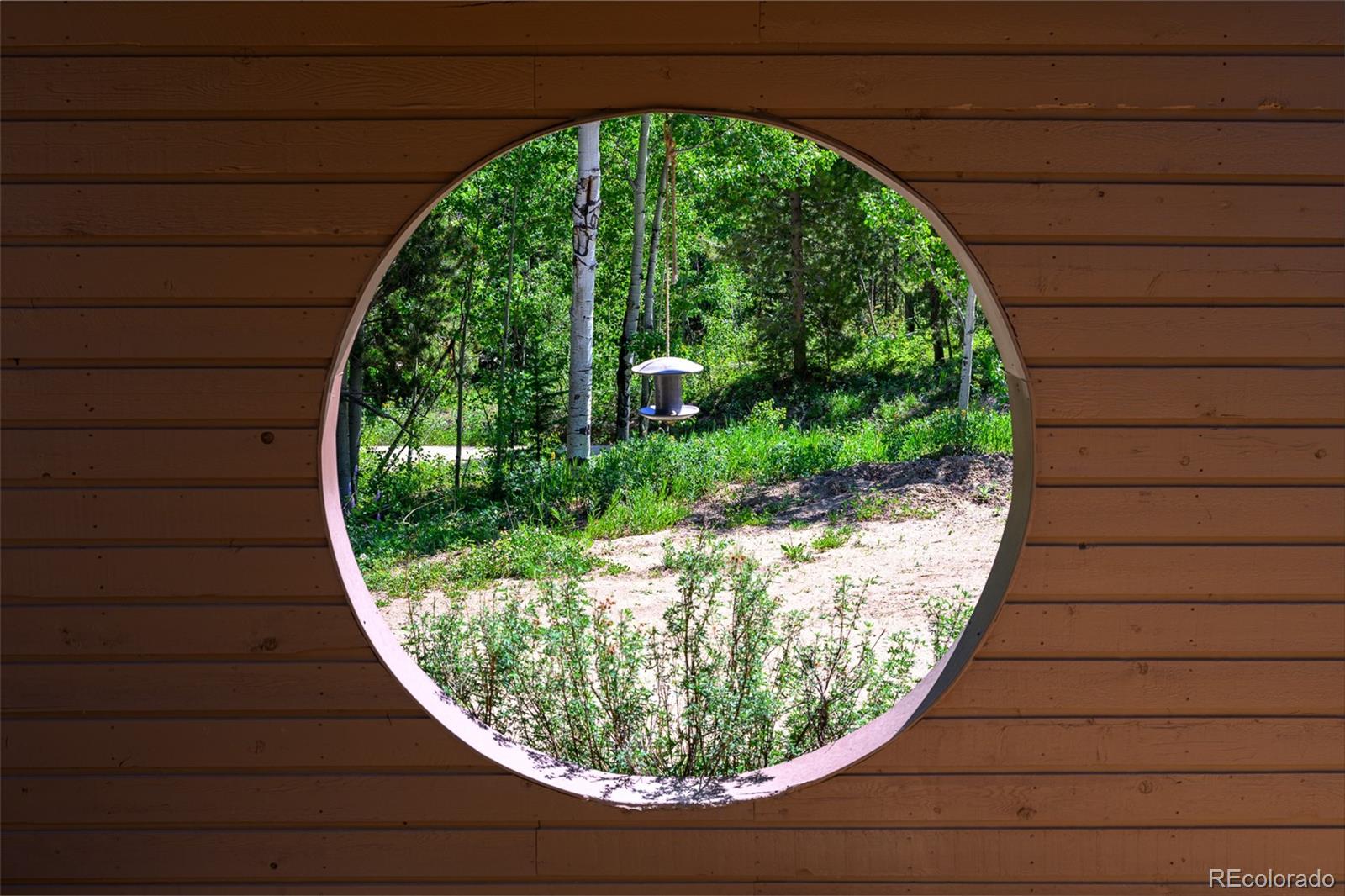 MLS Image #11 for 2246  gcr 8 ,fraser, Colorado