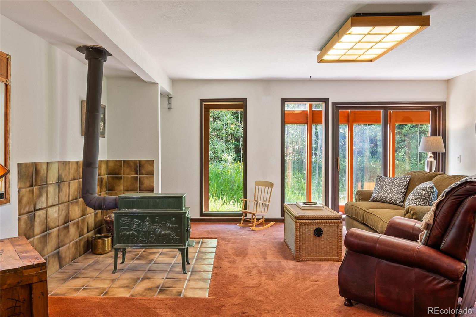 MLS Image #41 for 2246  gcr 8 ,fraser, Colorado