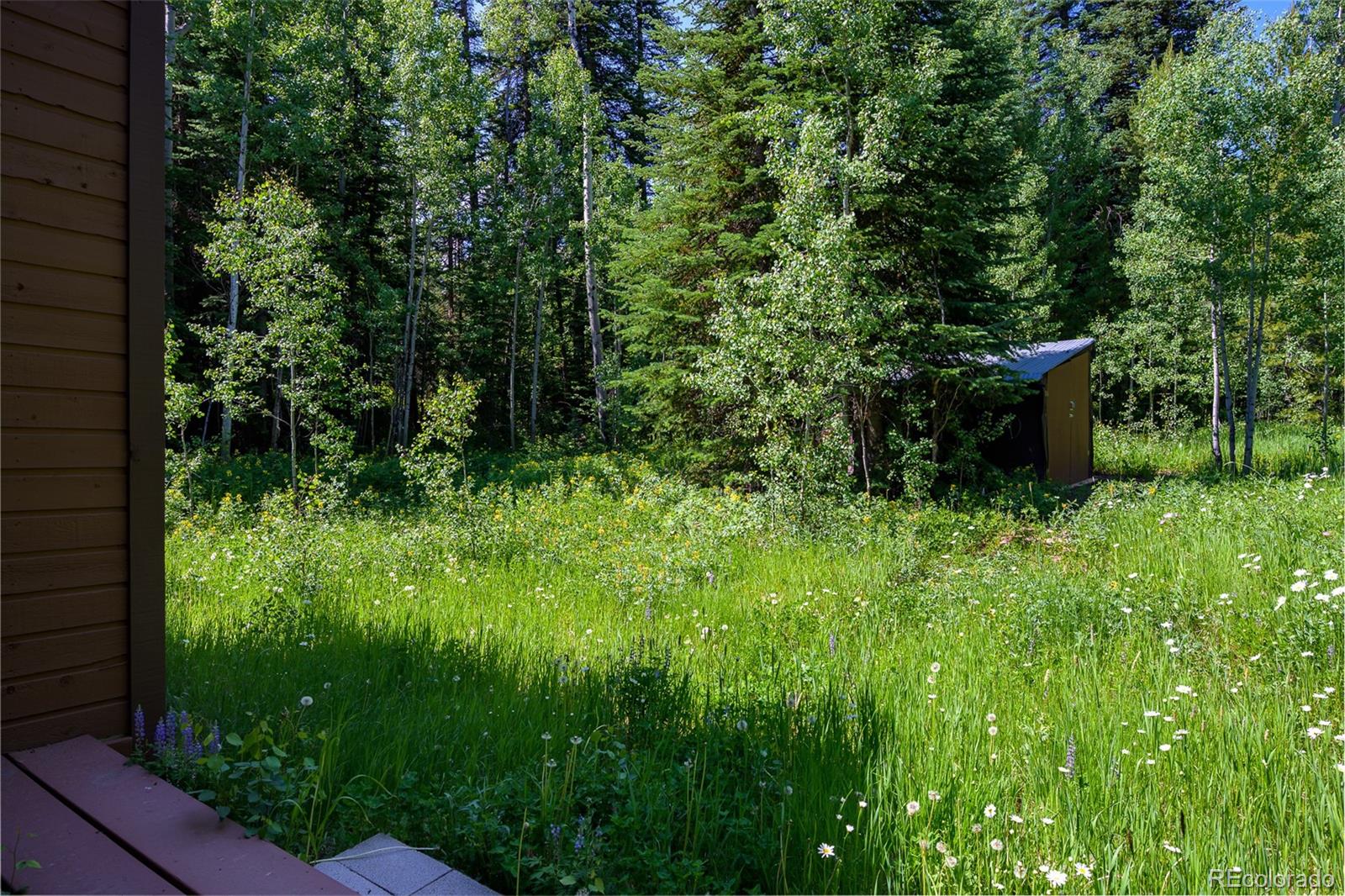 MLS Image #47 for 2246  gcr 8 ,fraser, Colorado