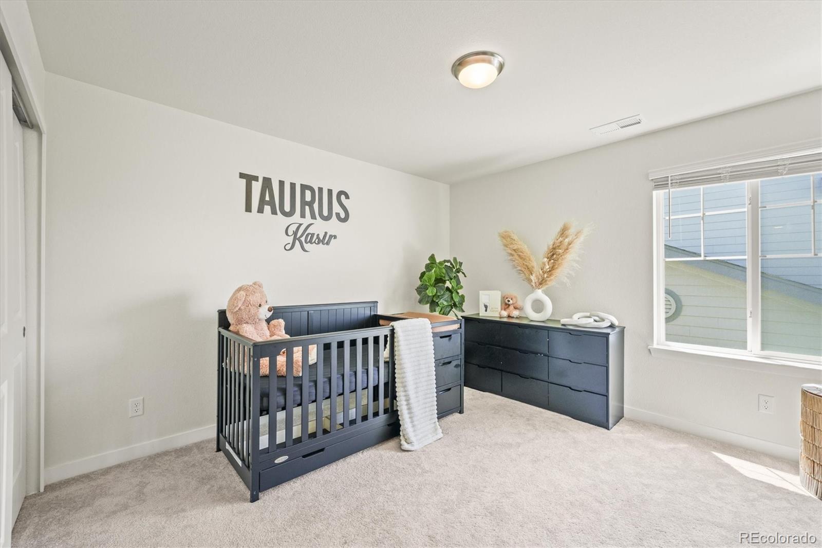 MLS Image #30 for 8240 s white crow street,aurora, Colorado
