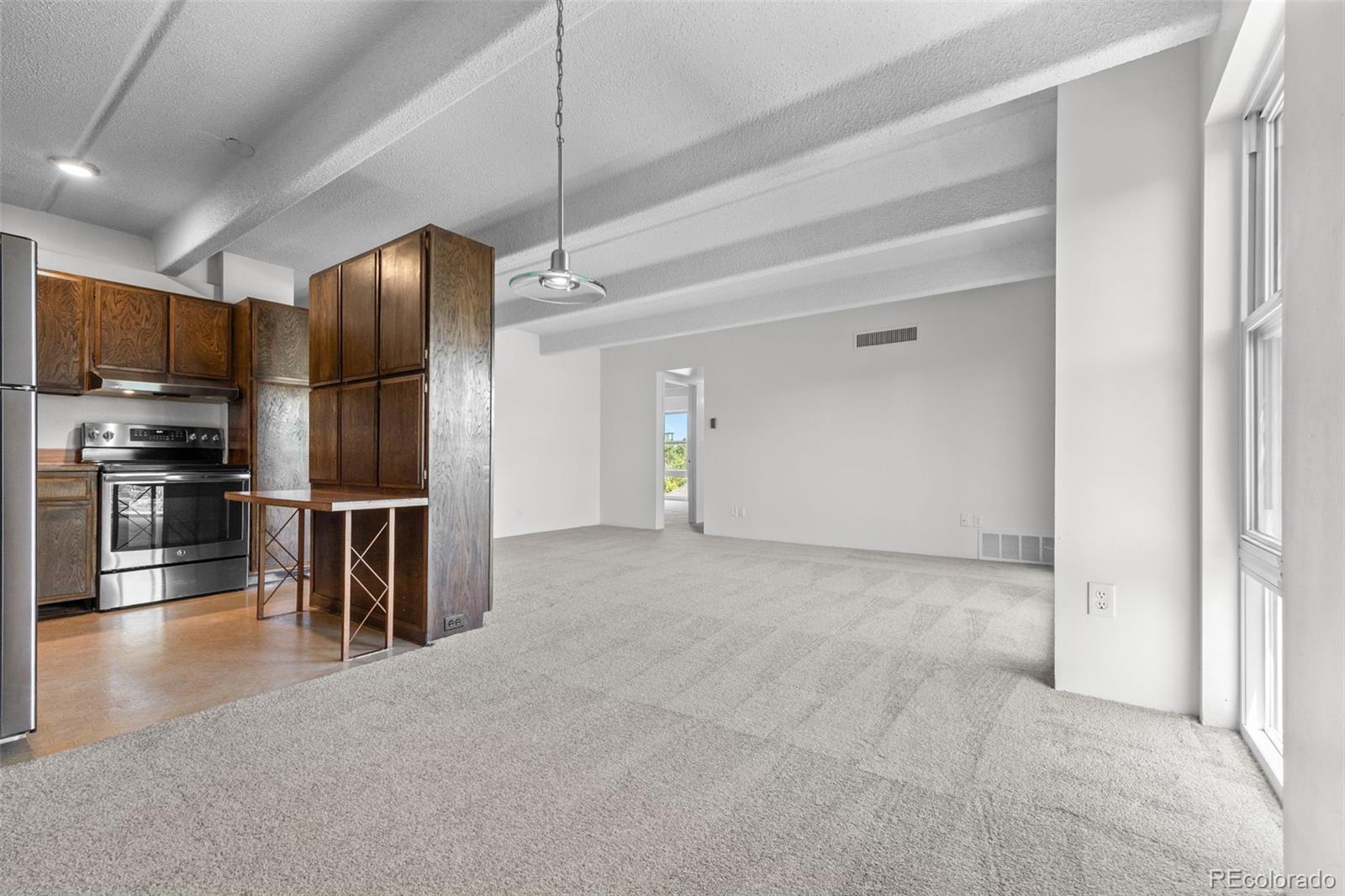 MLS Image #10 for 1255 n ogden street,denver, Colorado