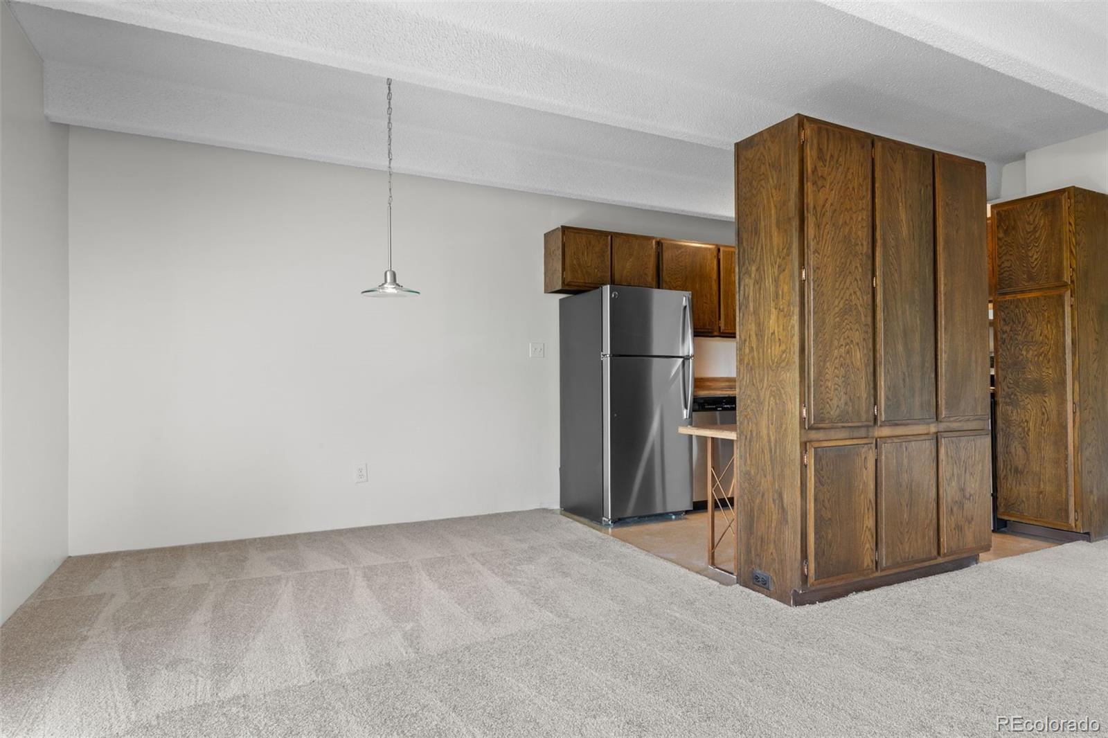 MLS Image #14 for 1255 n ogden street,denver, Colorado