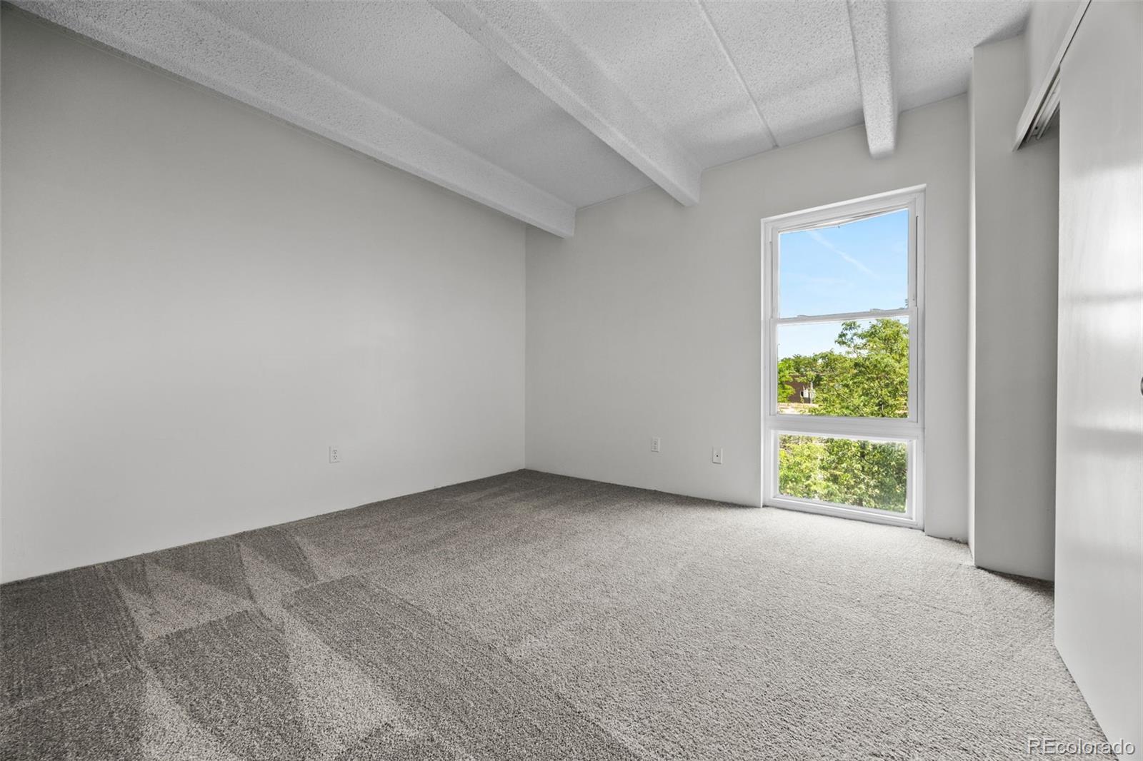 MLS Image #16 for 1255 n ogden street,denver, Colorado