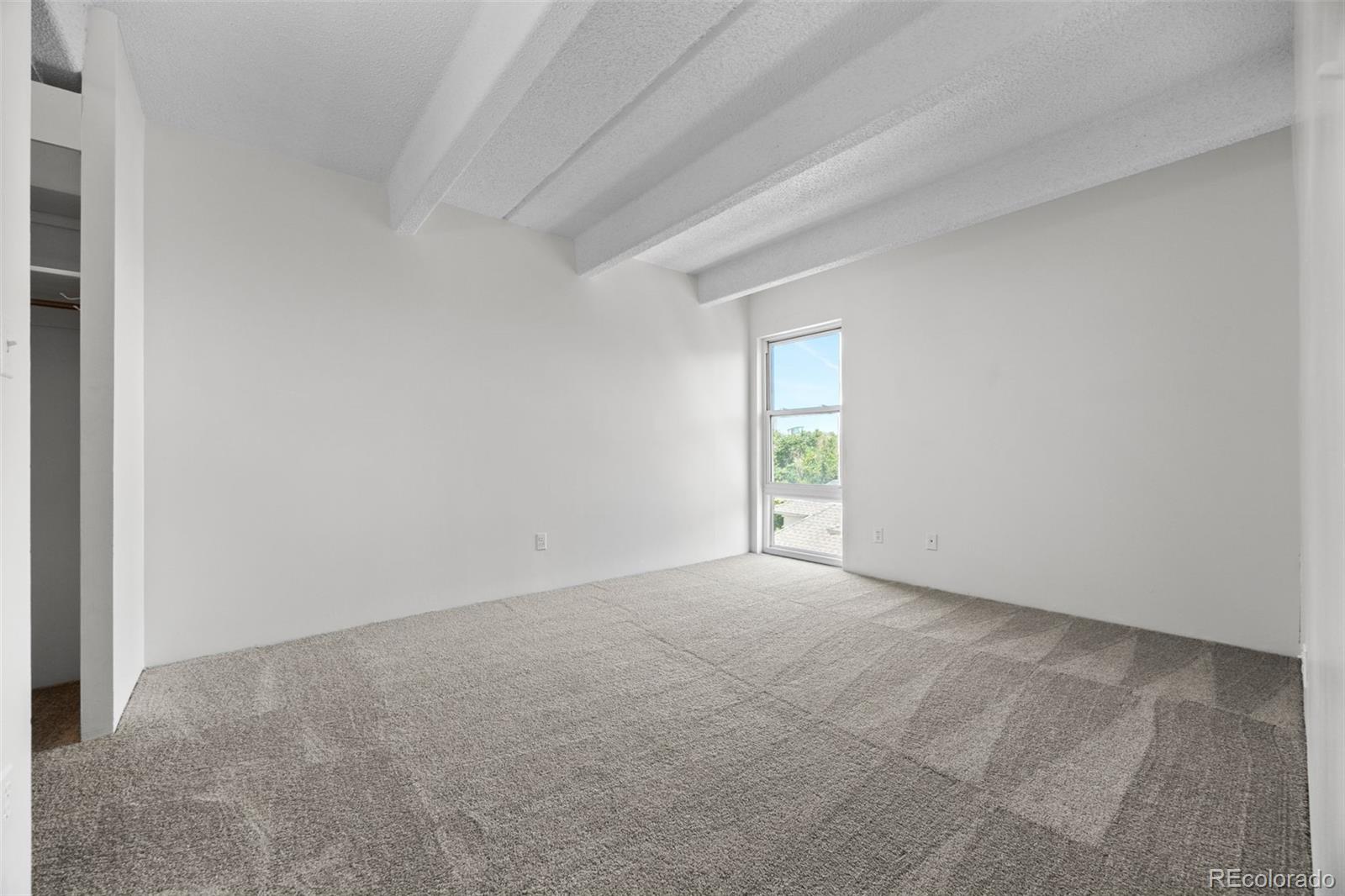 MLS Image #21 for 1255 n ogden street,denver, Colorado