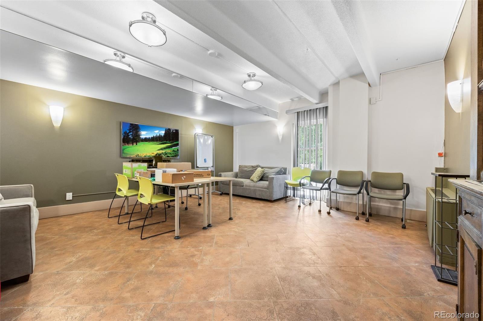 MLS Image #33 for 1255 n ogden street,denver, Colorado