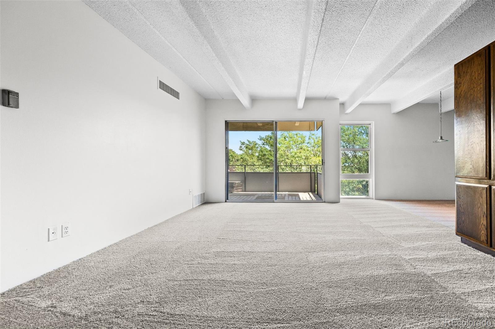 MLS Image #4 for 1255 n ogden street,denver, Colorado