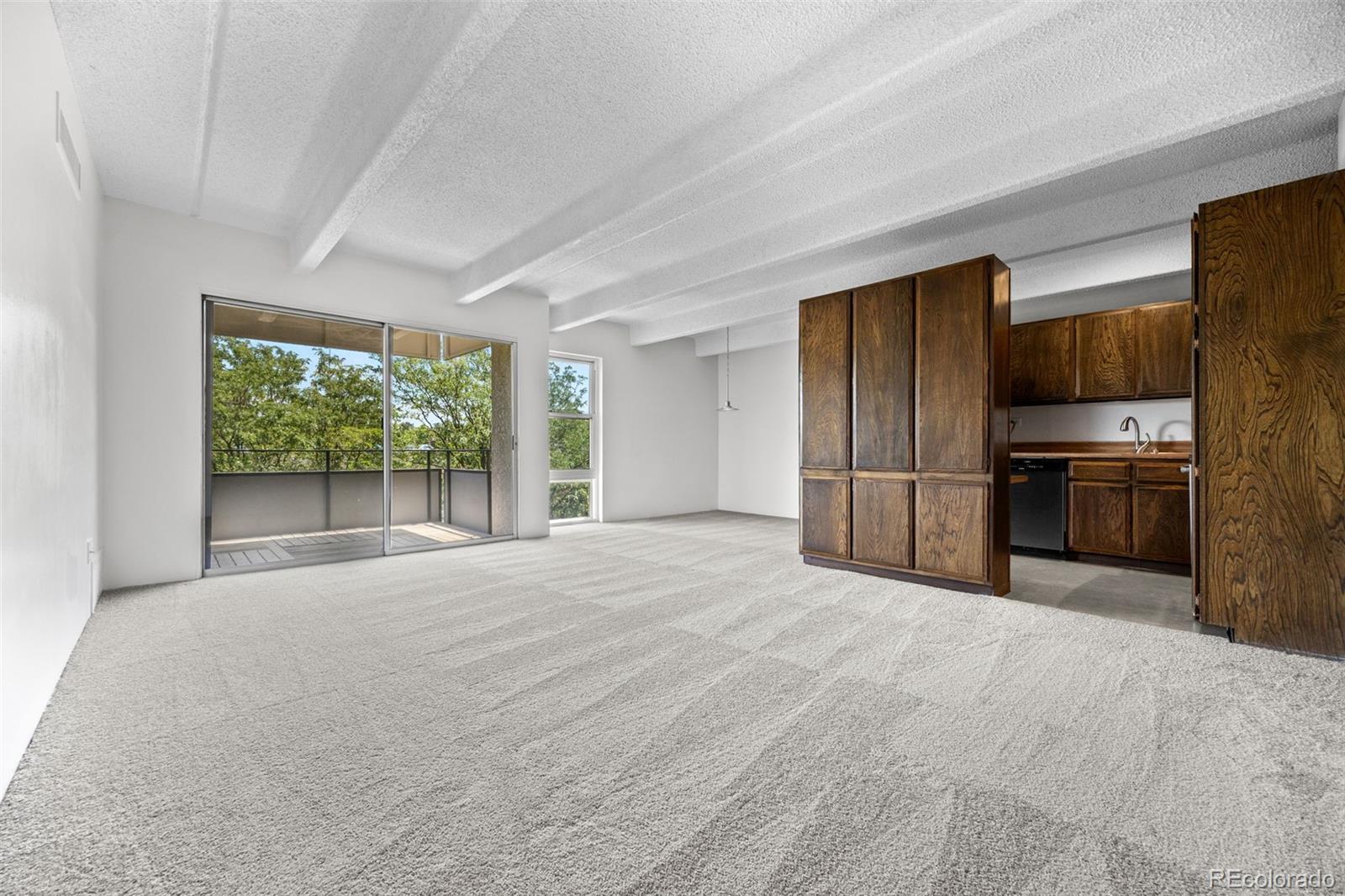 MLS Image #5 for 1255 n ogden street,denver, Colorado
