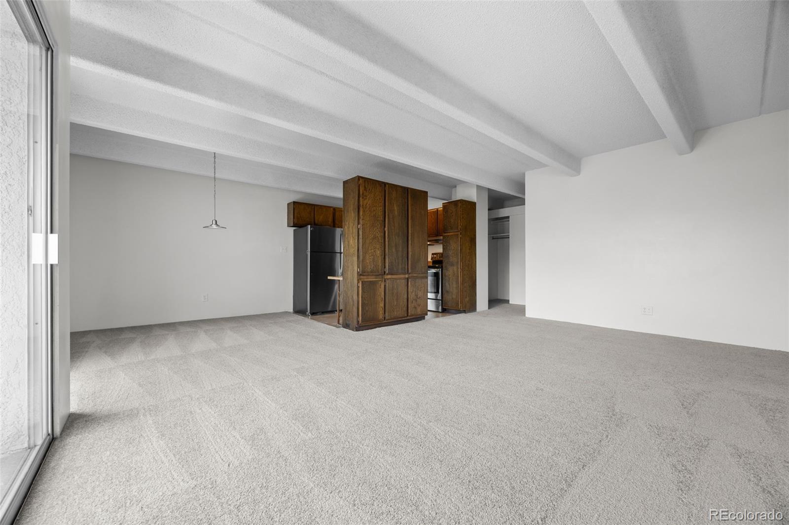 MLS Image #6 for 1255 n ogden street,denver, Colorado