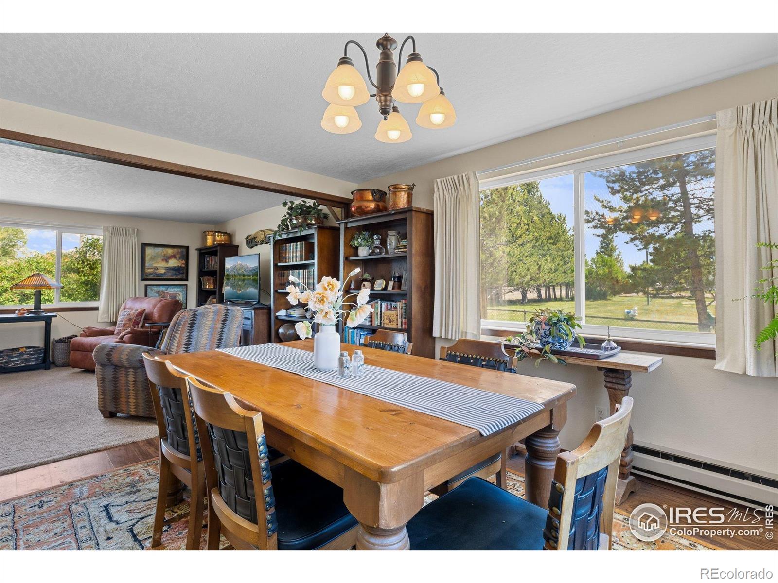 MLS Image #10 for 372  logan street,walden, Colorado