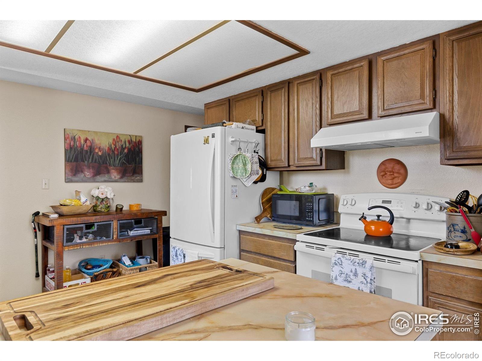 MLS Image #13 for 372  logan street,walden, Colorado