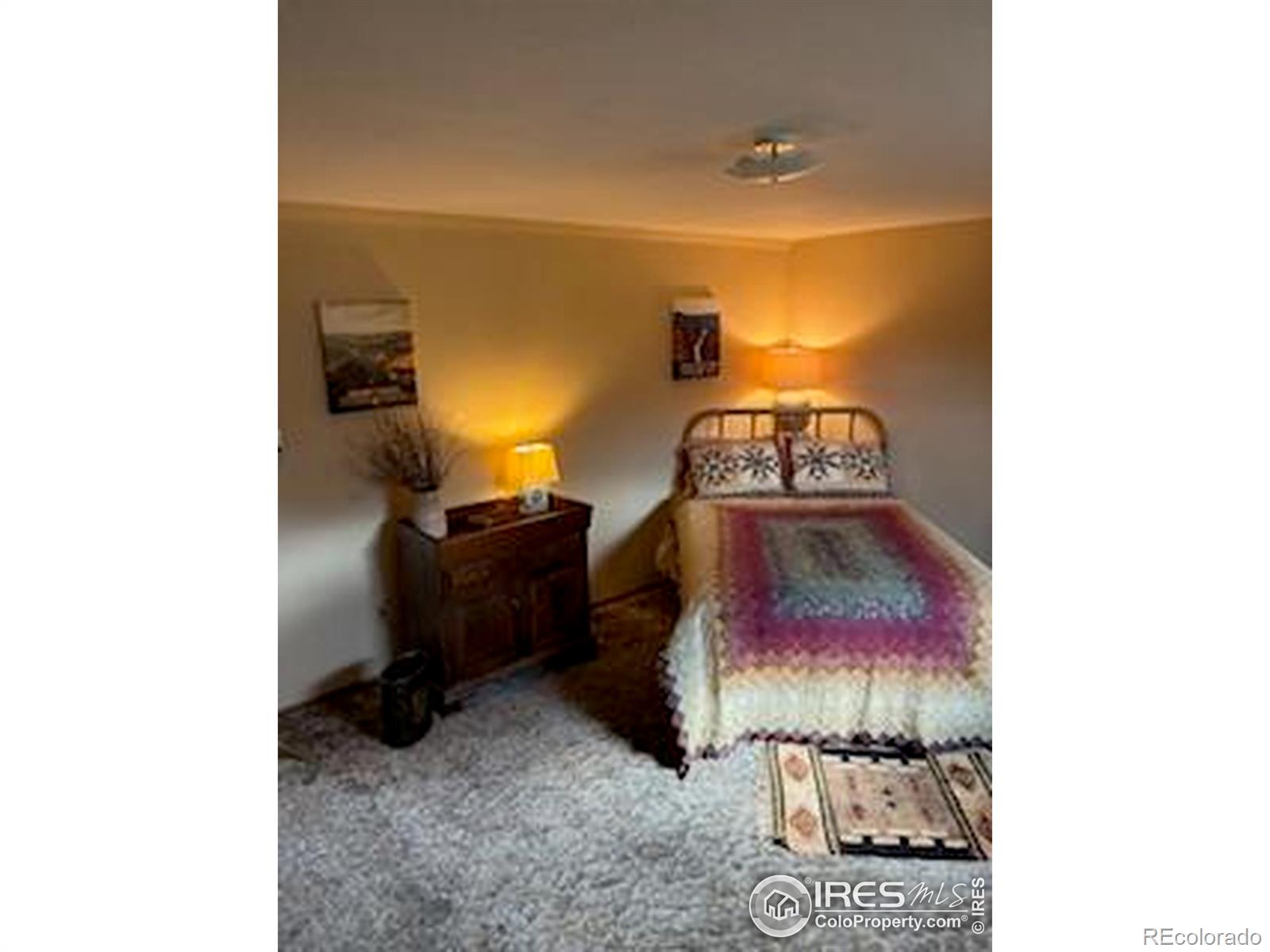 MLS Image #18 for 372  logan street,walden, Colorado
