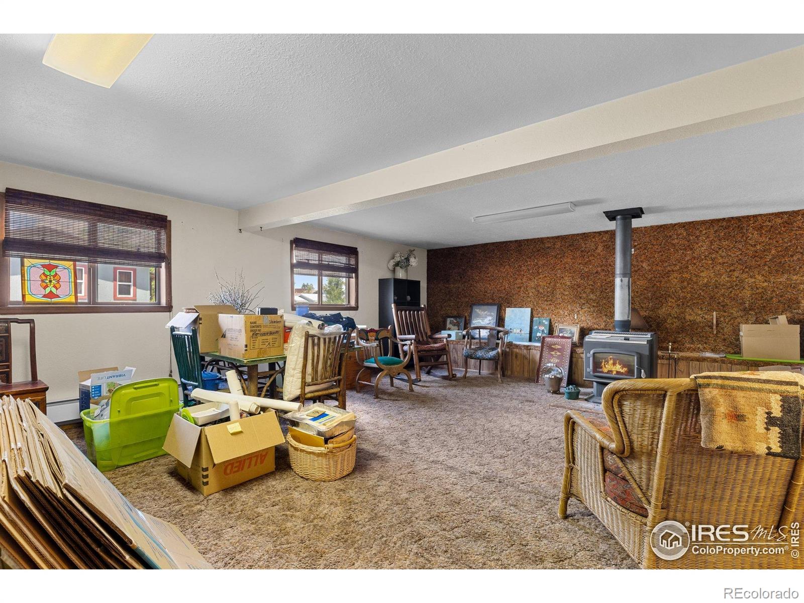 MLS Image #20 for 372  logan street,walden, Colorado