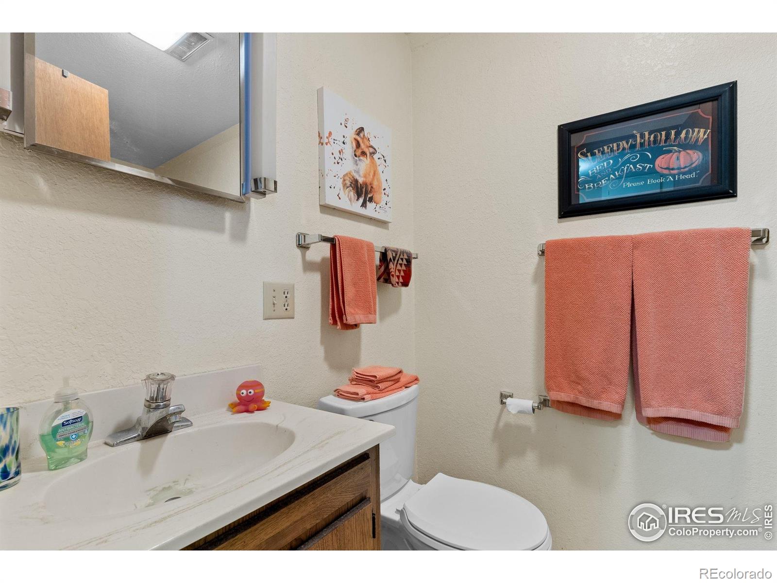 MLS Image #21 for 372  logan street,walden, Colorado