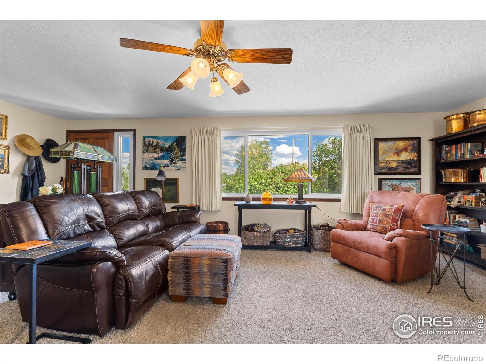 MLS Image #8 for 372  logan street,walden, Colorado