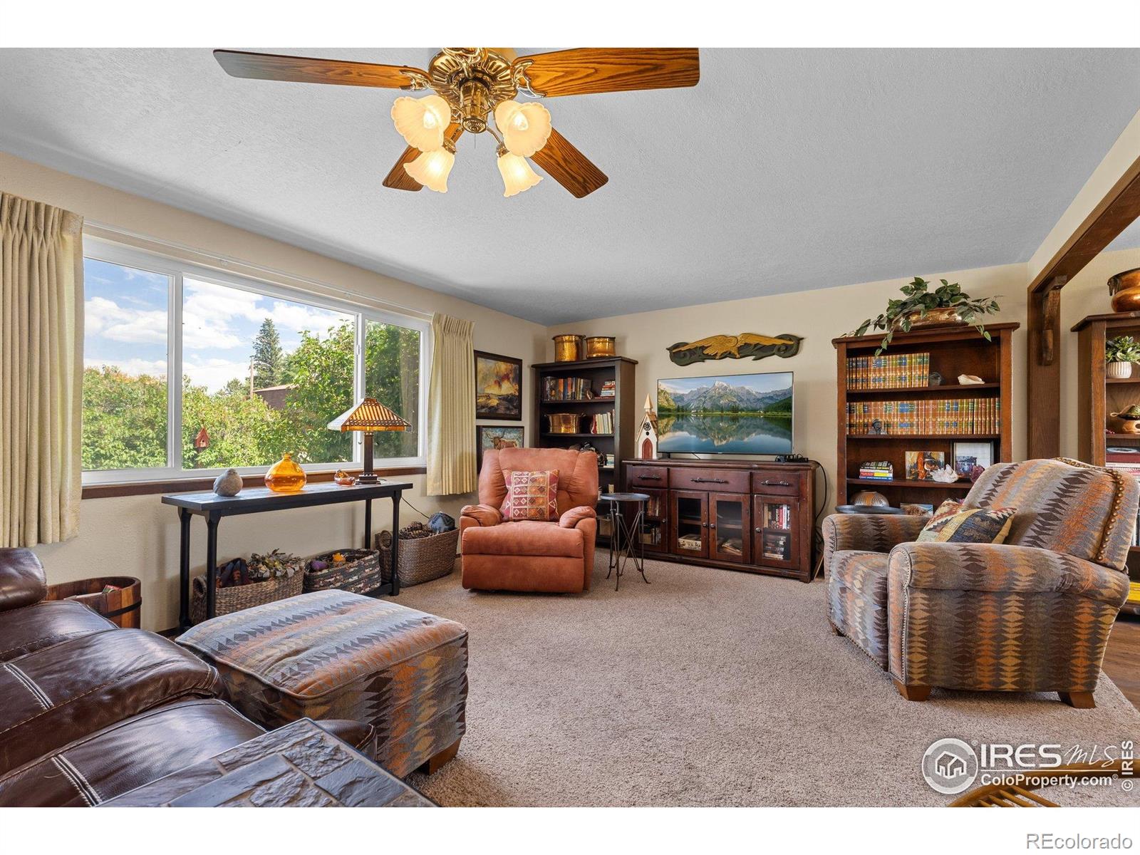 MLS Image #9 for 372  logan street,walden, Colorado