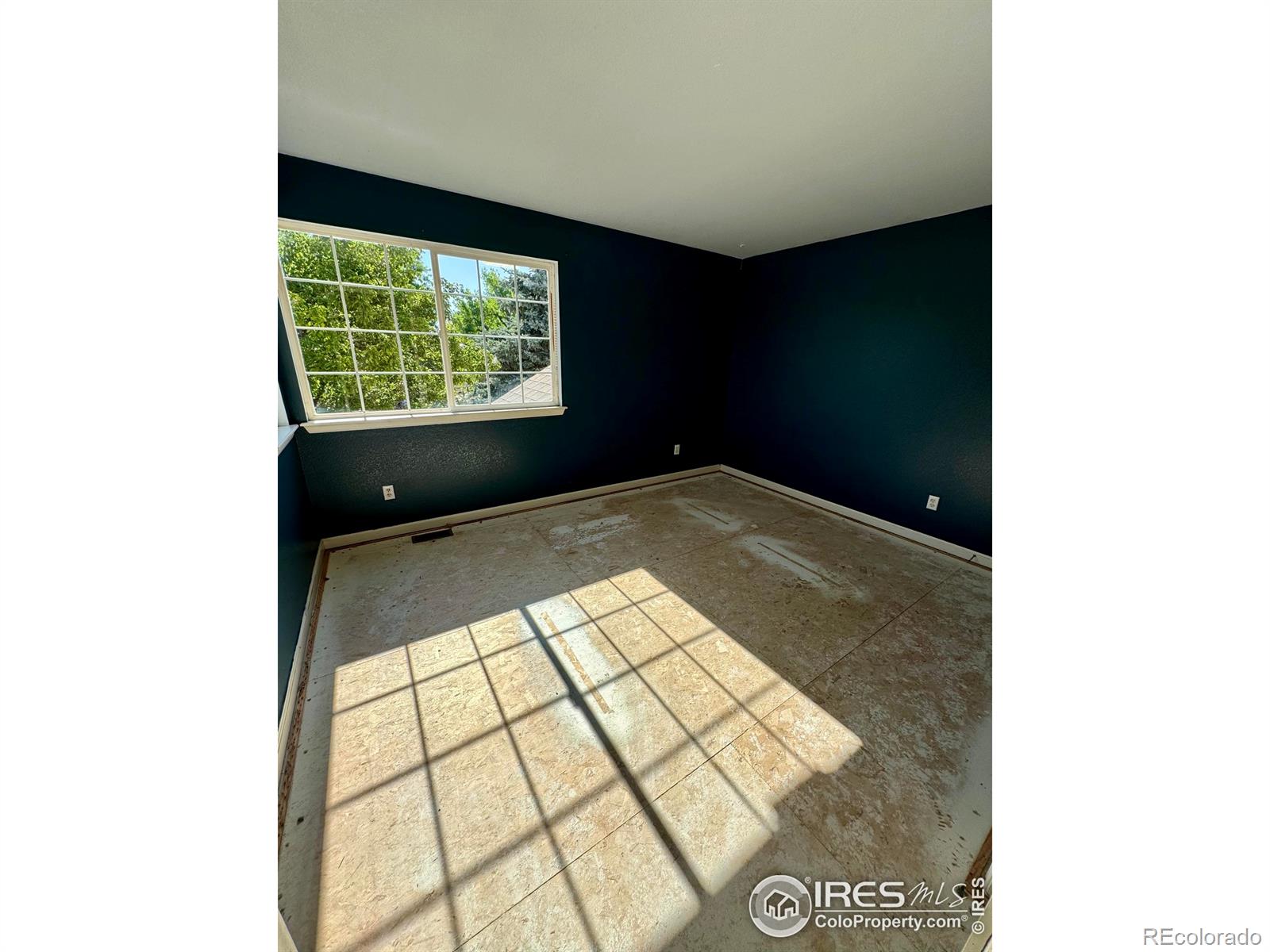 MLS Image #22 for 2395  sandpiper drive,lafayette, Colorado