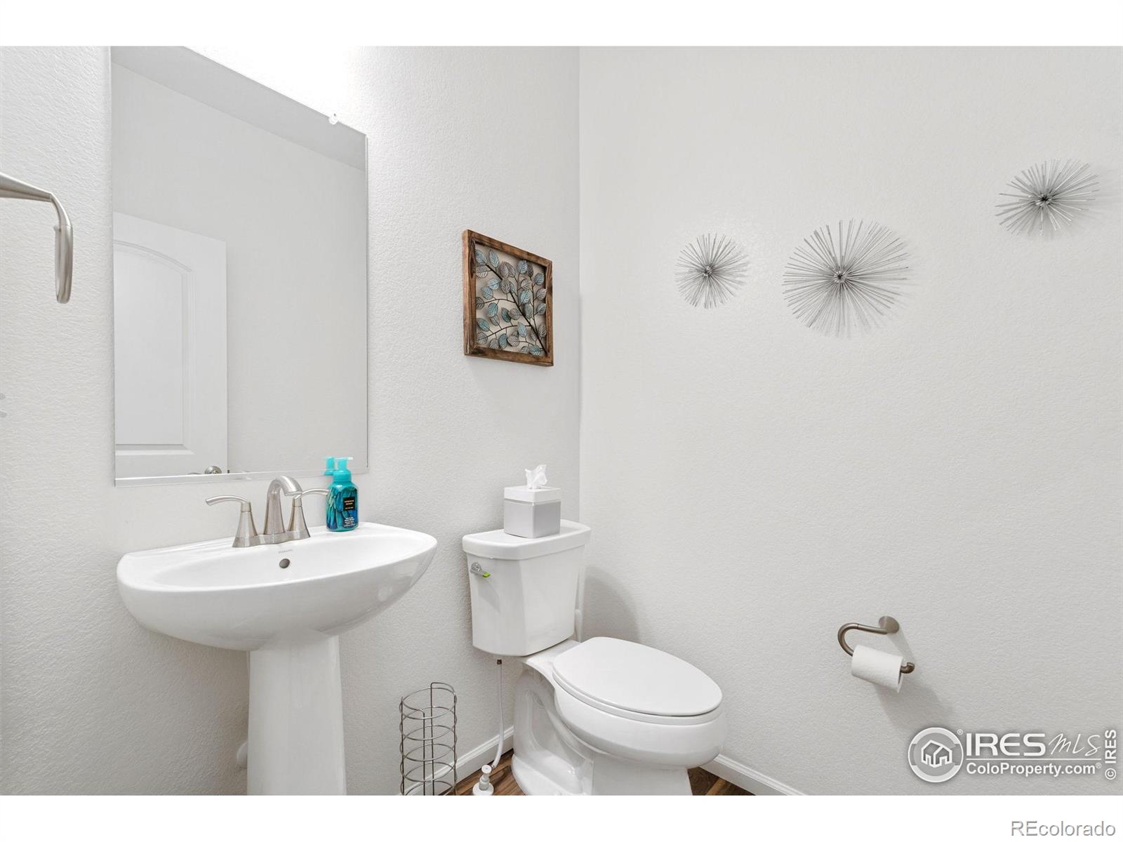 MLS Image #13 for 14203  hop clover trail,parker, Colorado