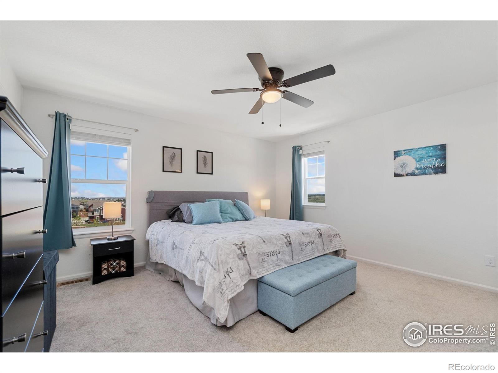 MLS Image #9 for 14203  hop clover trail,parker, Colorado