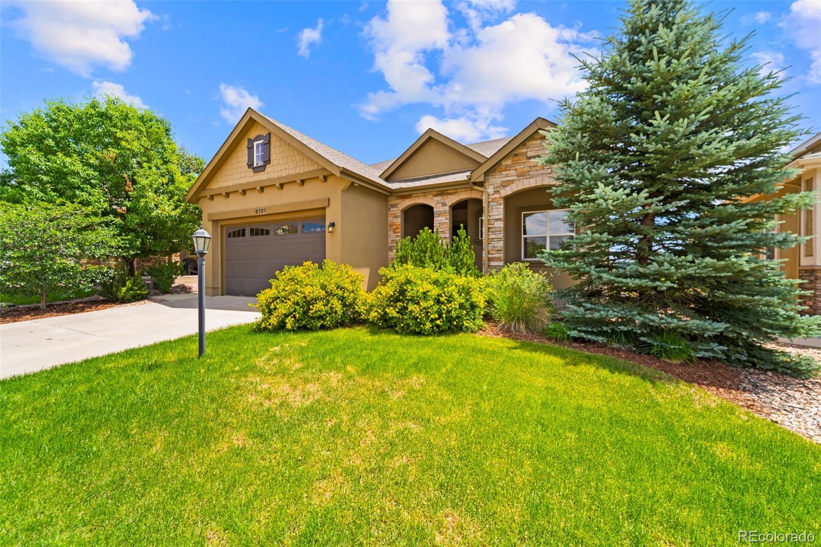 MLS Image #2 for 9131  lizard rock trail,colorado springs, Colorado