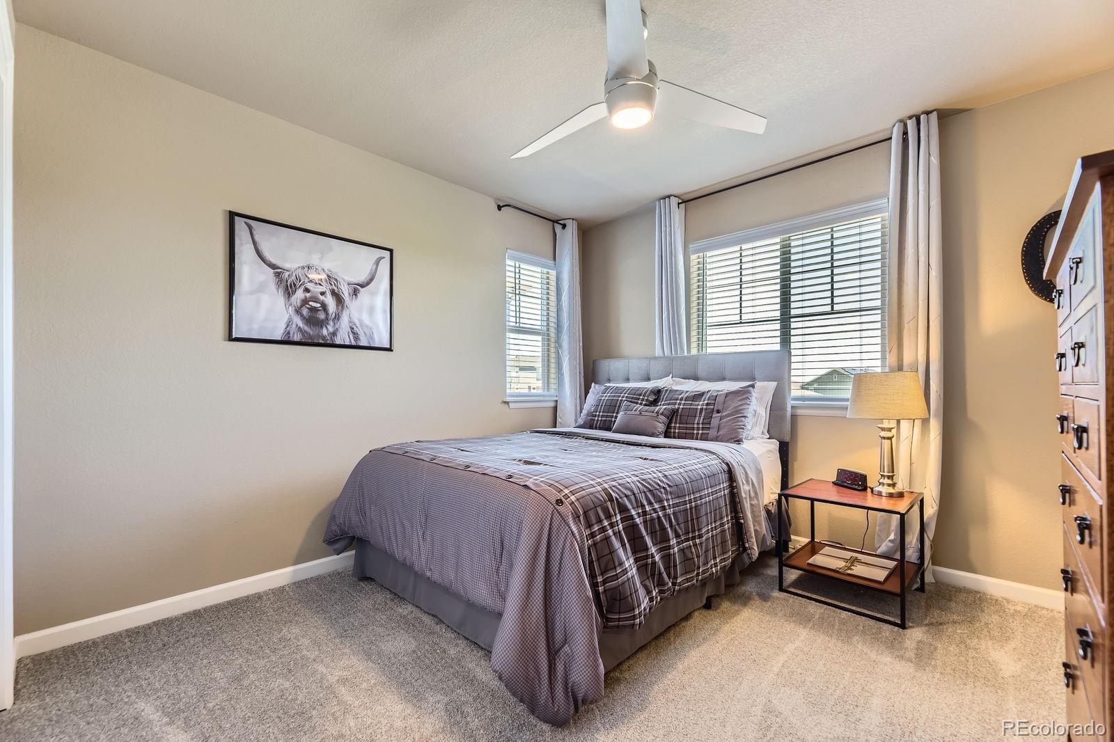 MLS Image #18 for 12851  billingsley trail,parker, Colorado