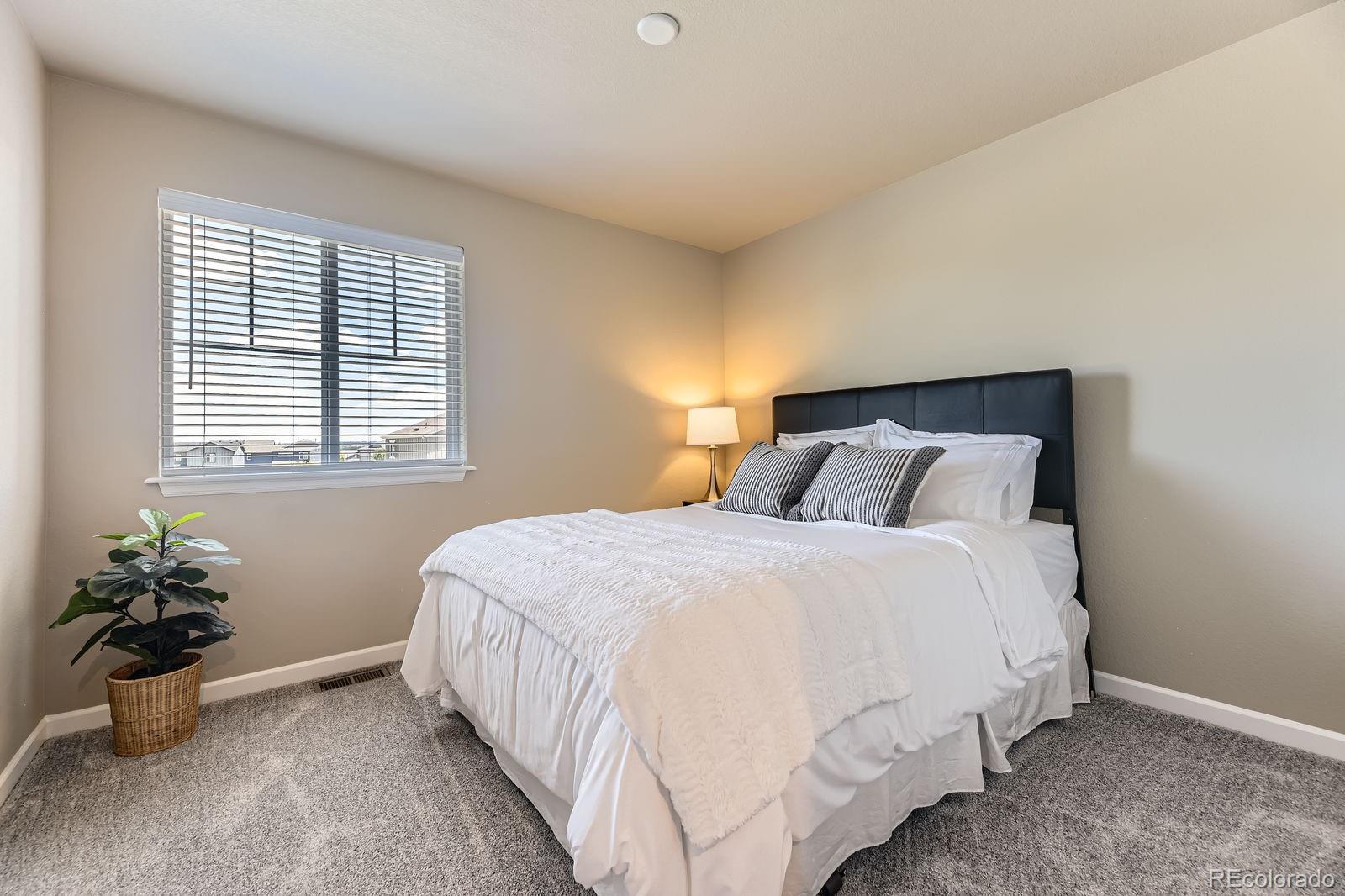 MLS Image #19 for 12851  billingsley trail,parker, Colorado