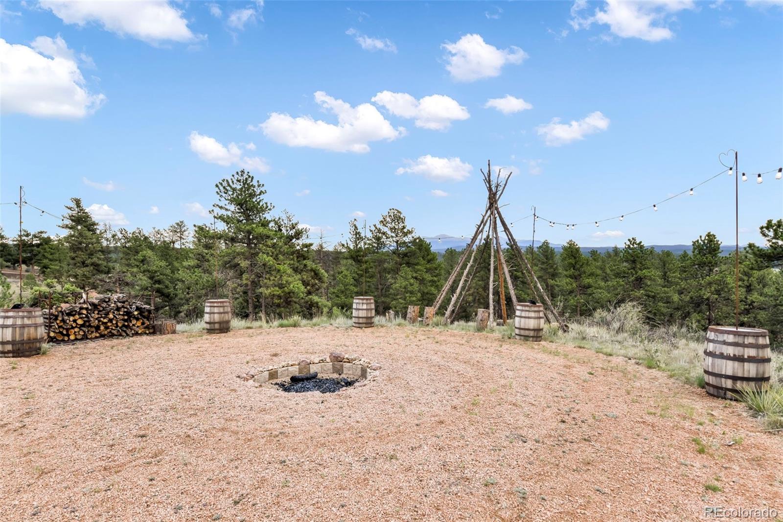 MLS Image #10 for 1701  wildhorn road,florissant, Colorado