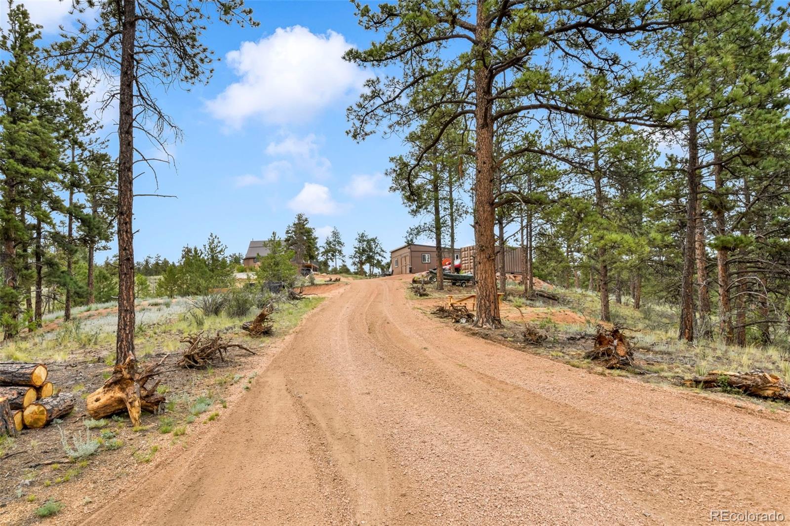 MLS Image #13 for 1701  wildhorn road,florissant, Colorado