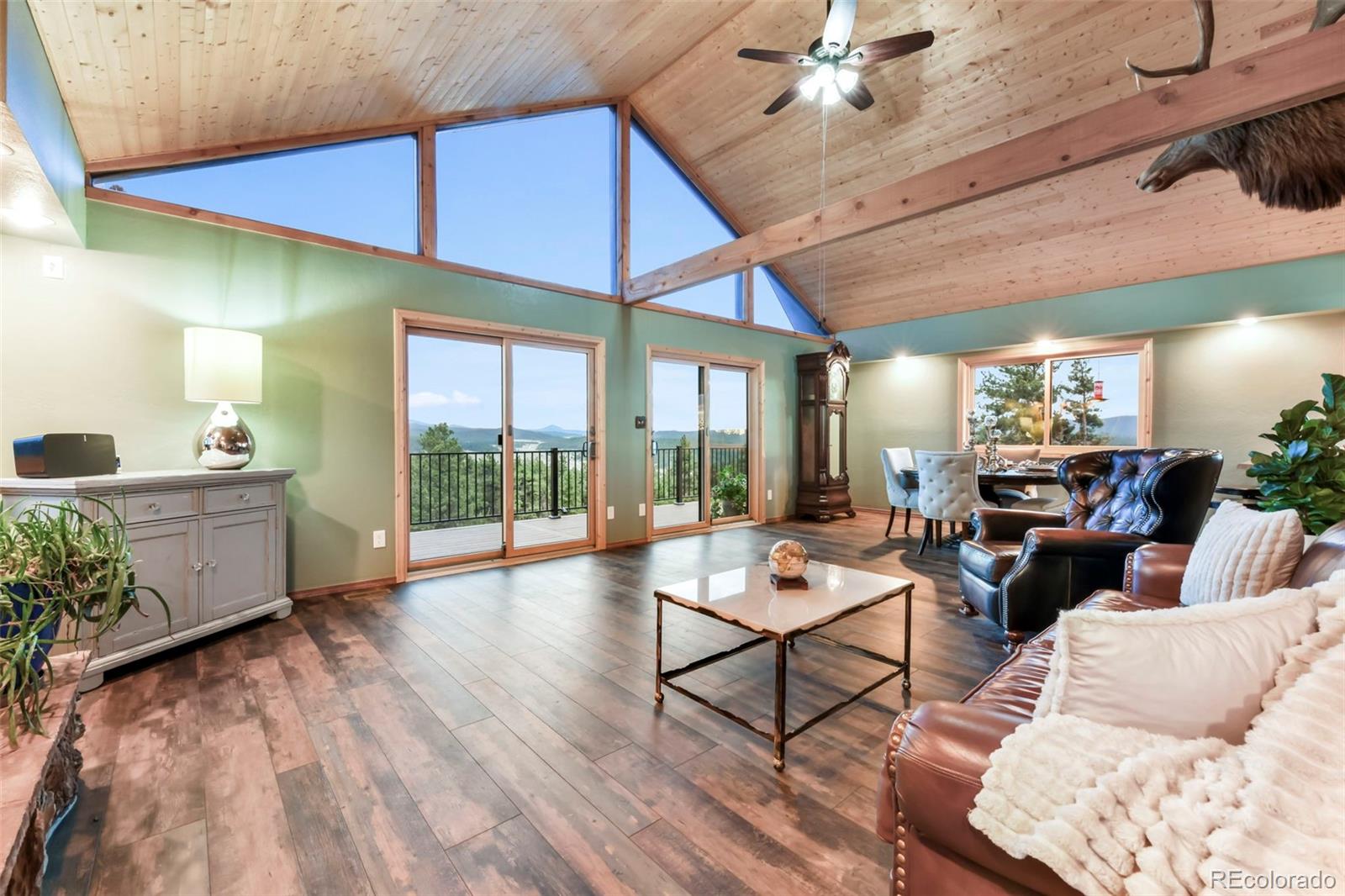MLS Image #29 for 1701  wildhorn road,florissant, Colorado