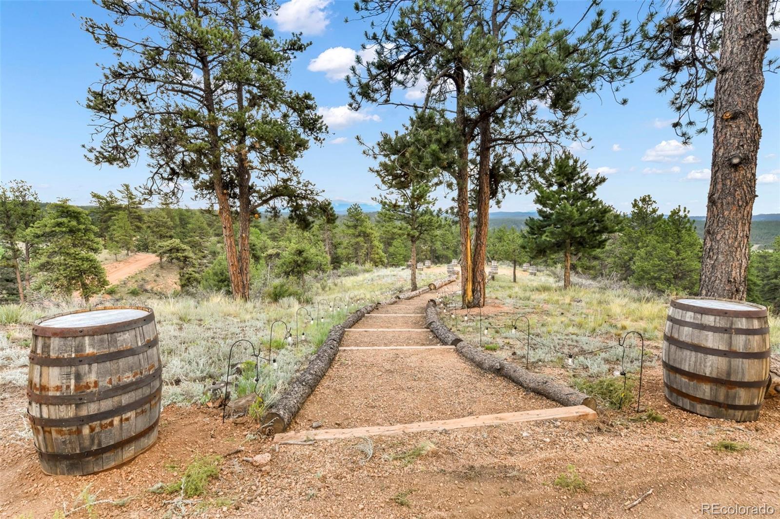 MLS Image #3 for 1701  wildhorn road,florissant, Colorado