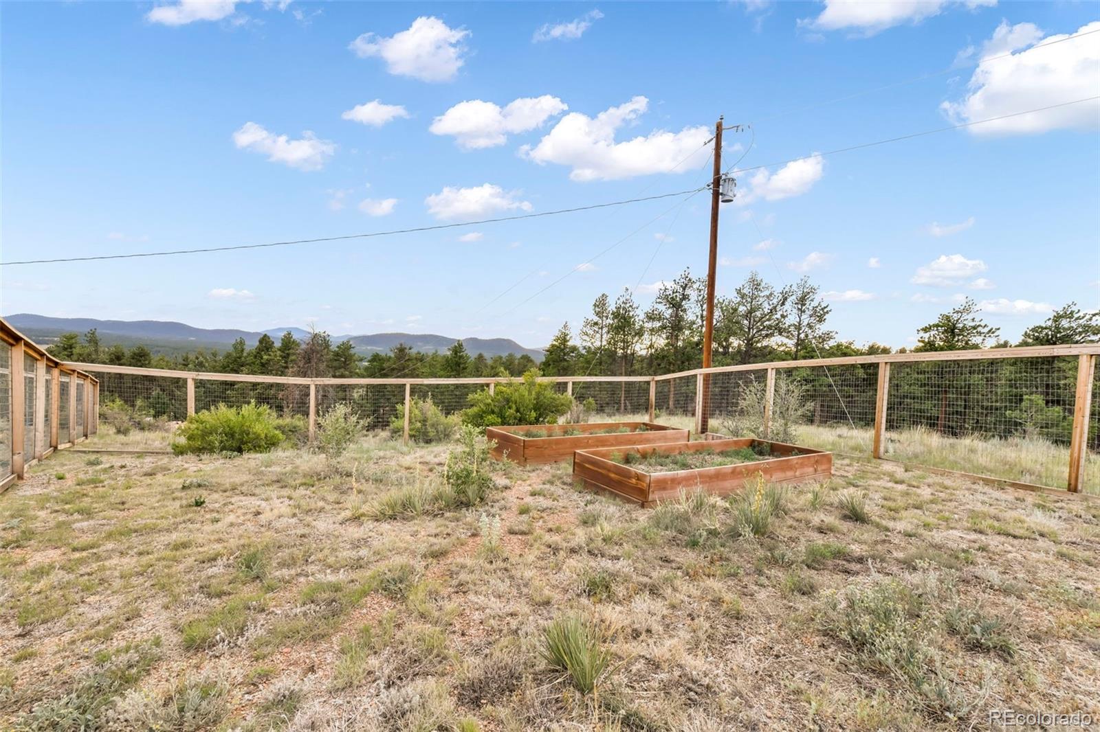 MLS Image #4 for 1701  wildhorn road,florissant, Colorado
