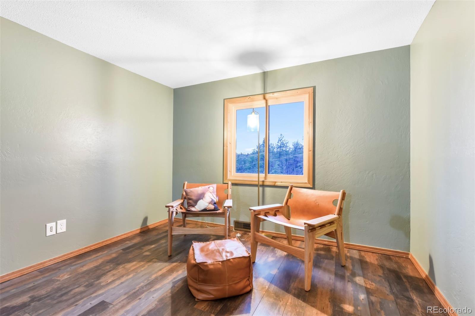MLS Image #6 for 1701  wildhorn road,florissant, Colorado