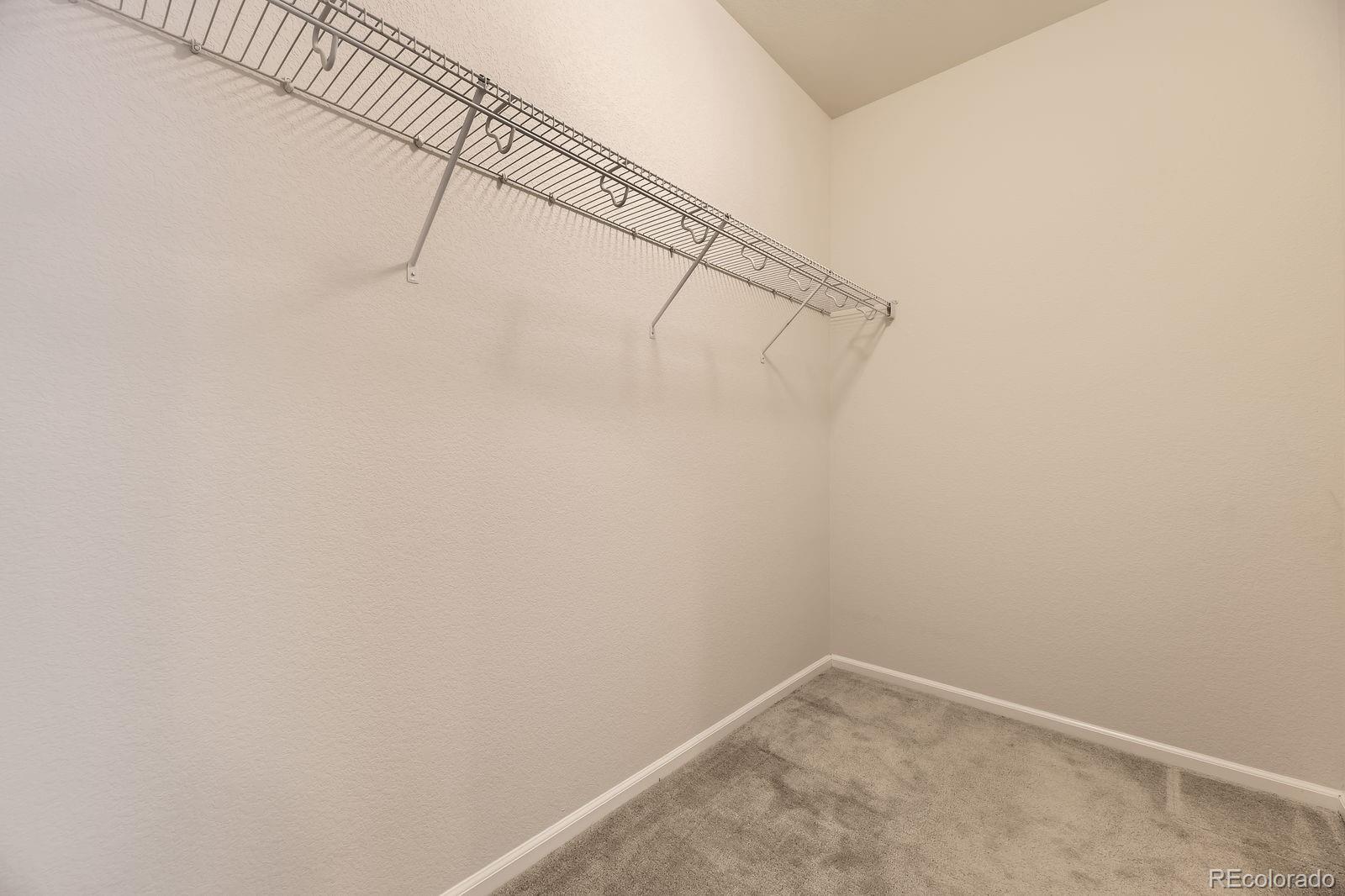 MLS Image #15 for 1388  castle creek circle,castle rock, Colorado