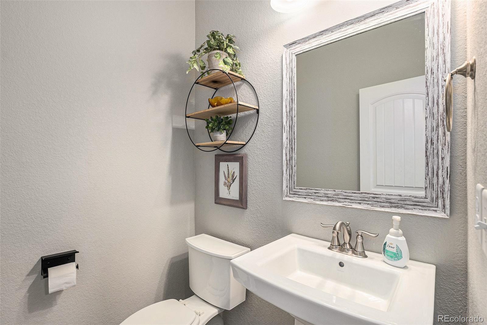 MLS Image #10 for 1473  castle creek circle,castle rock, Colorado