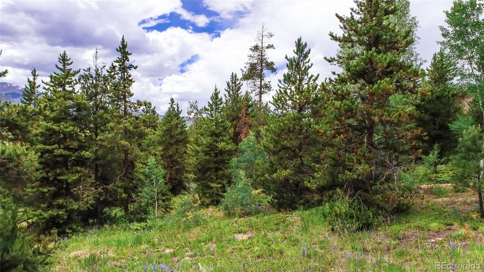 MLS Image #39 for 277  g road,silverthorne, Colorado
