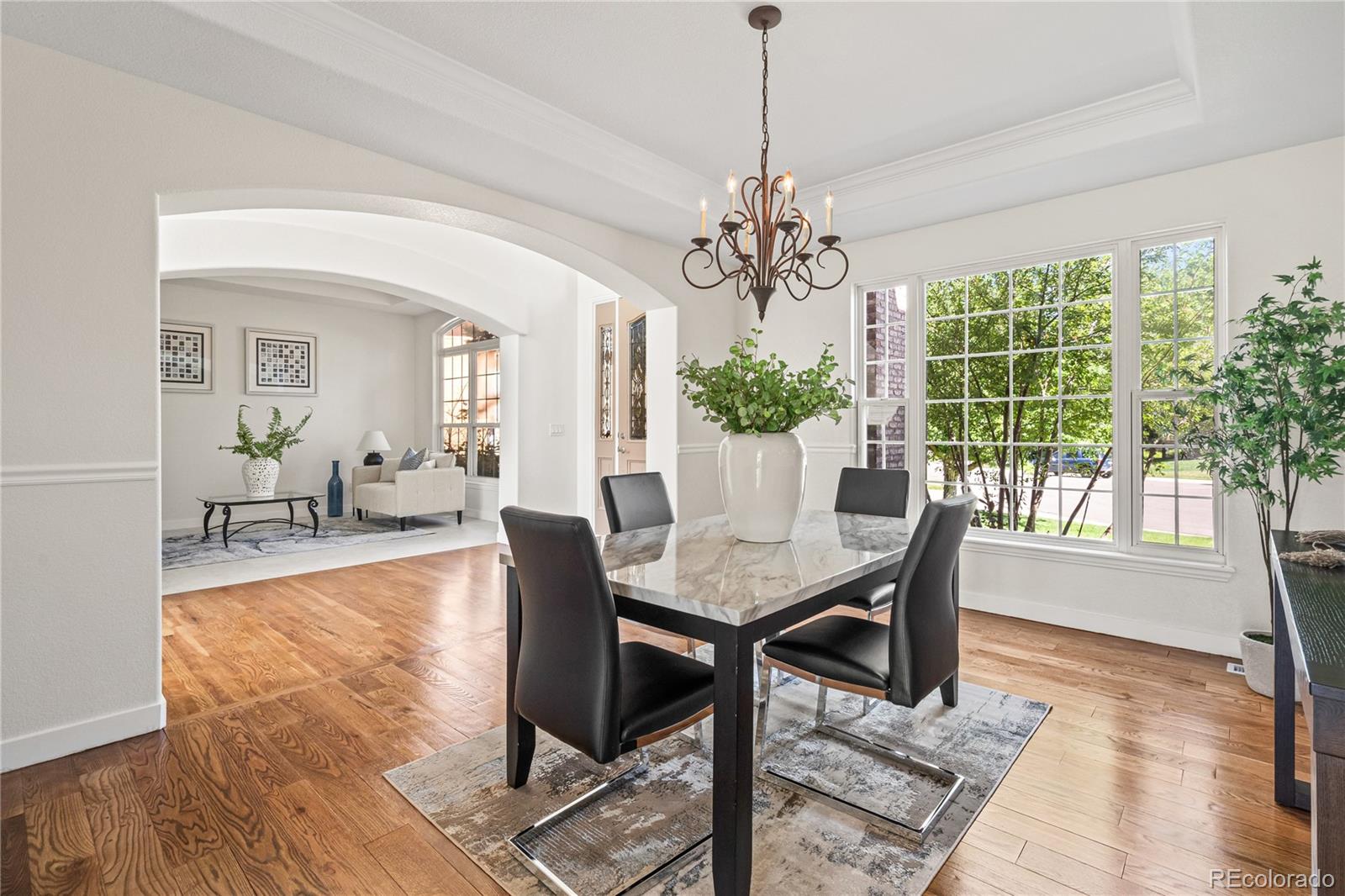 MLS Image #35 for 1511  peninsula circle,castle rock, Colorado