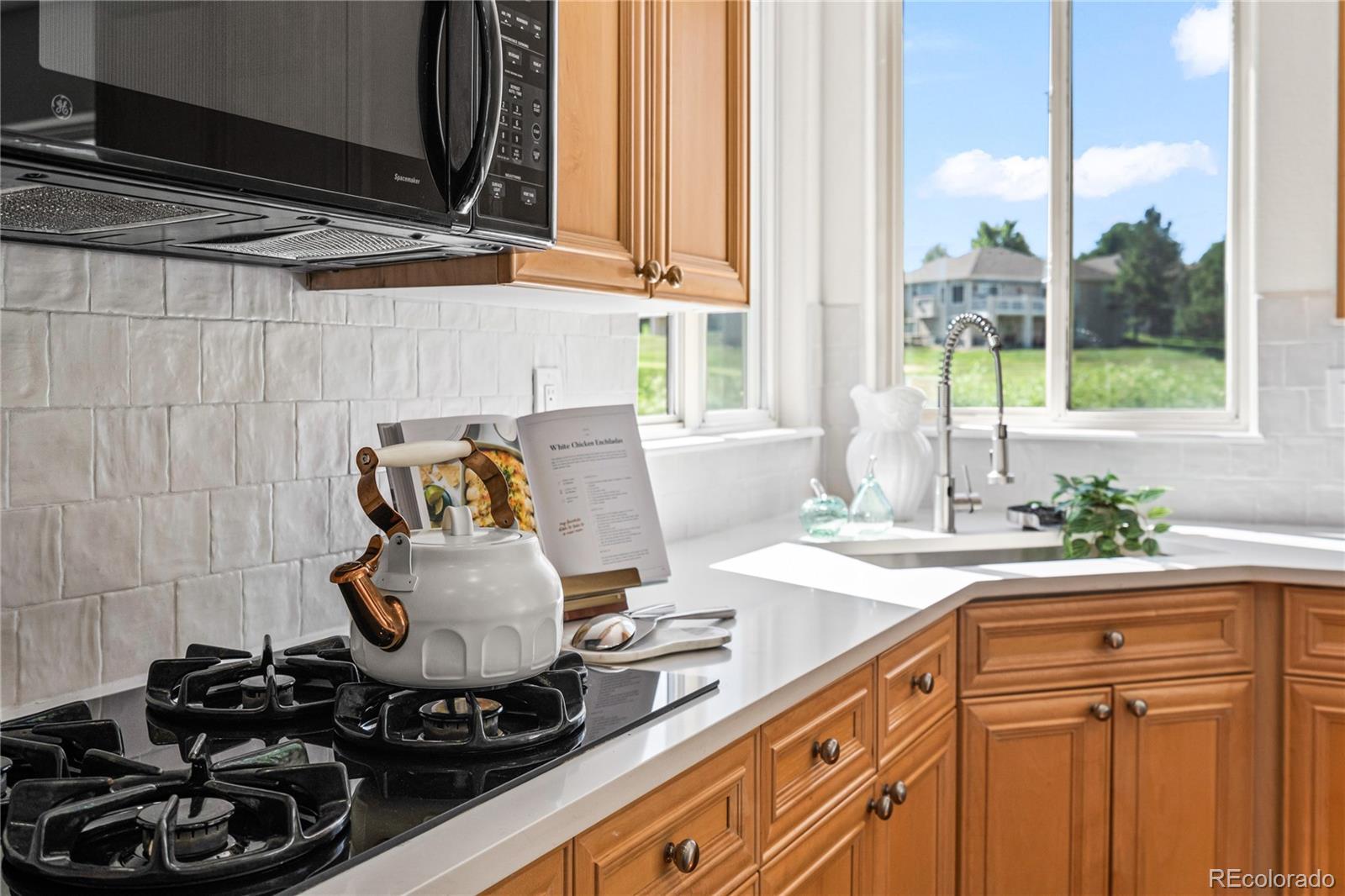 MLS Image #8 for 1511  peninsula circle,castle rock, Colorado