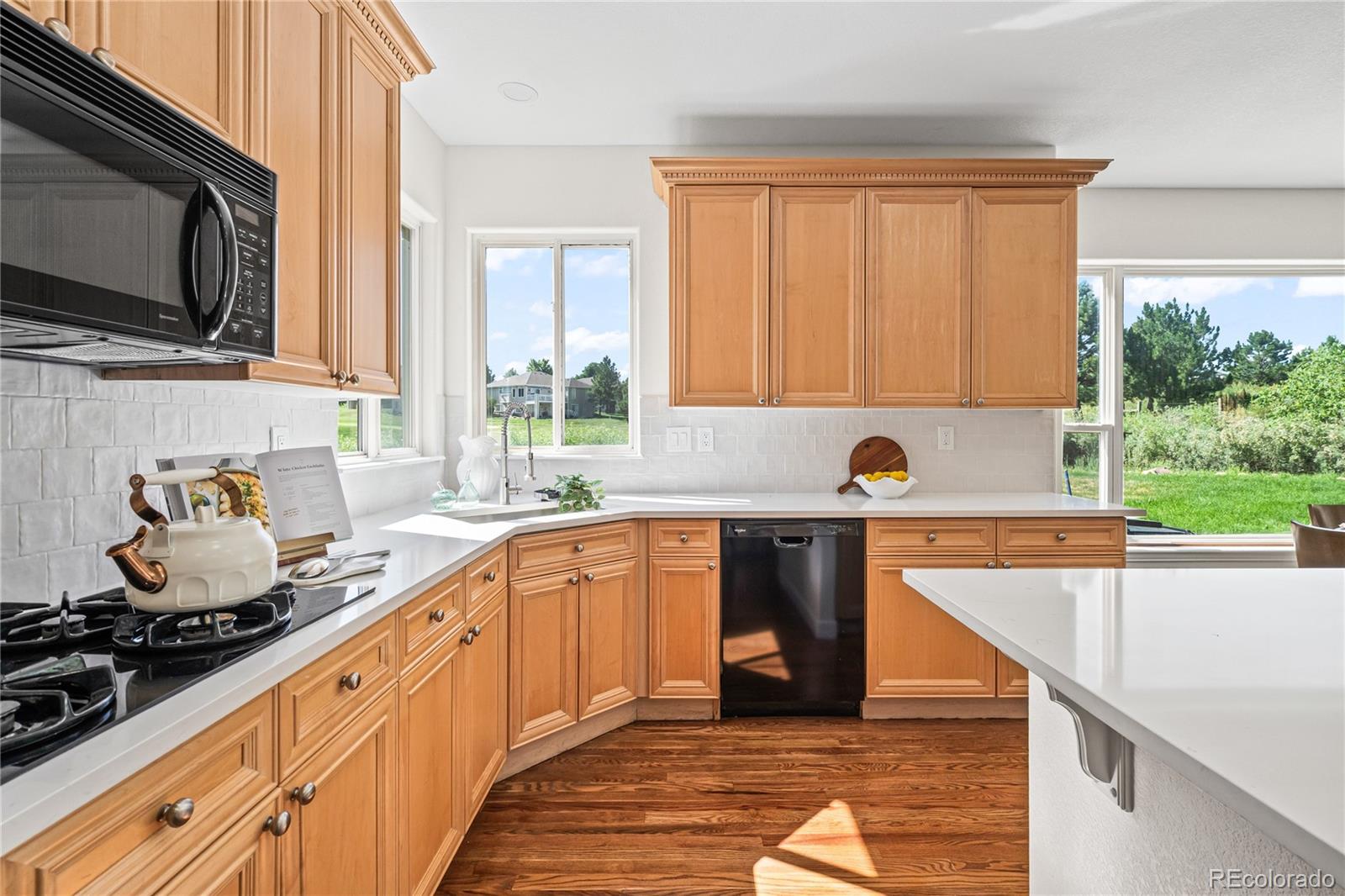 MLS Image #9 for 1511  peninsula circle,castle rock, Colorado