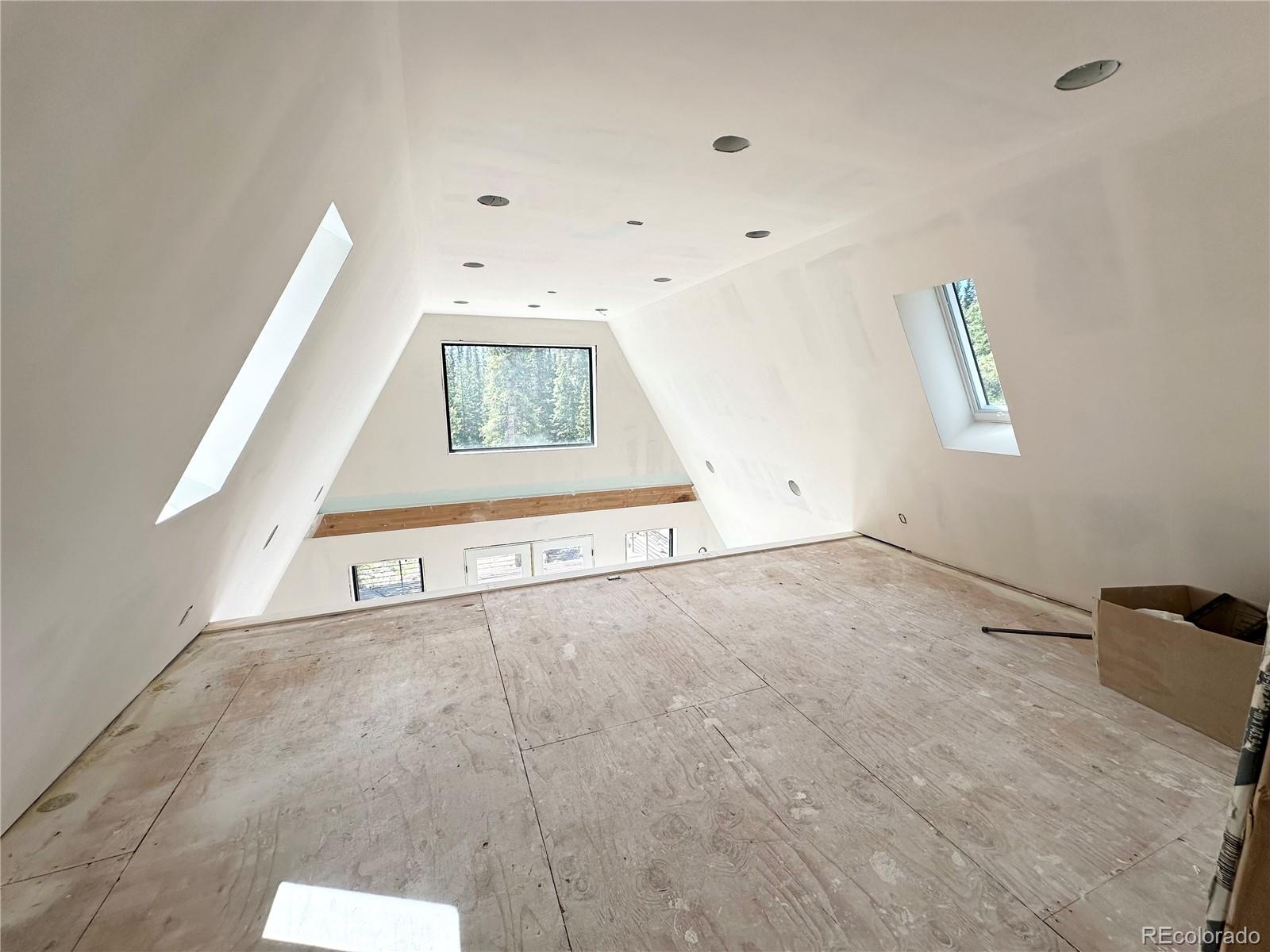 MLS Image #28 for 80  valley of the sun drive,fairplay, Colorado