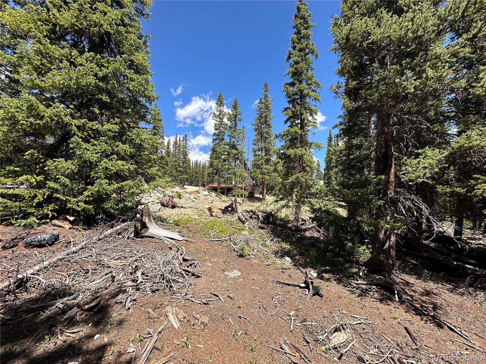 MLS Image #34 for 80  valley of the sun drive,fairplay, Colorado