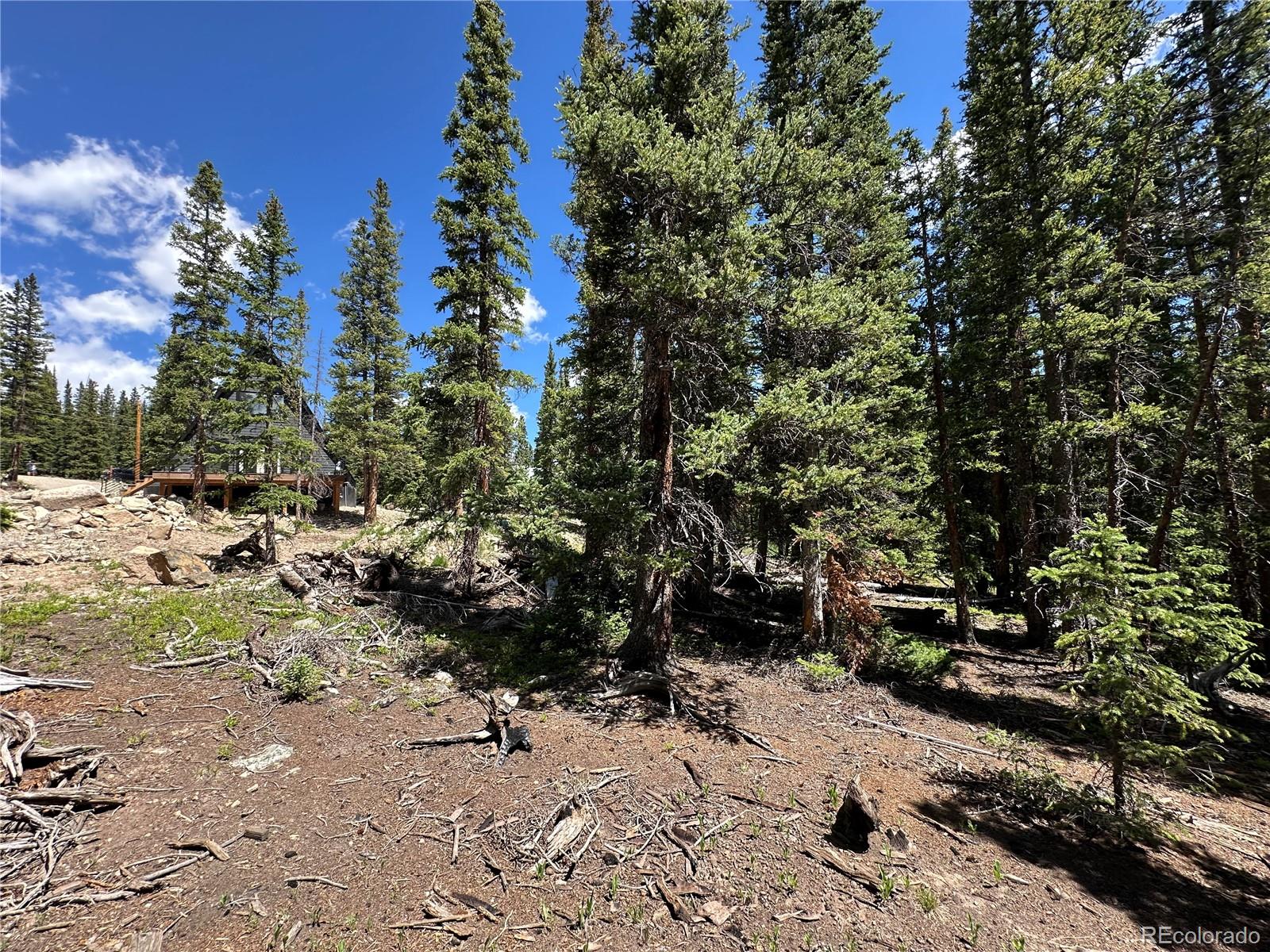 MLS Image #36 for 80  valley of the sun drive,fairplay, Colorado